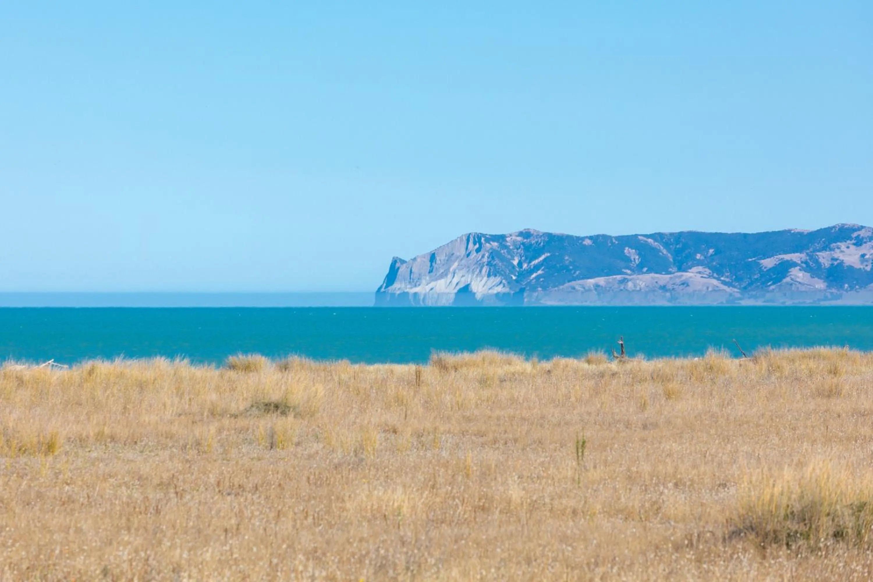Natural landscape in Ocean View Beachfront Apartment