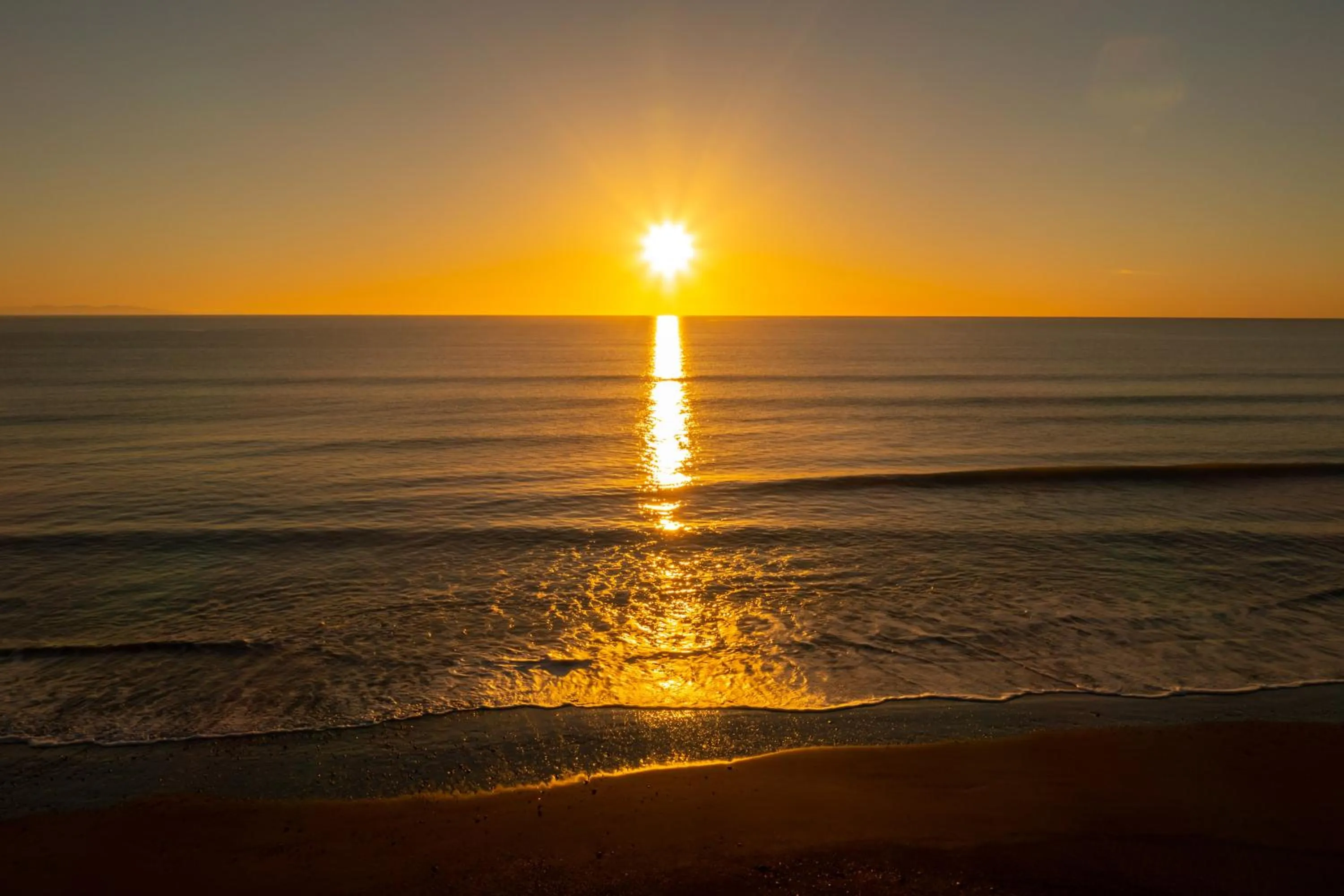 Natural landscape in Ocean View Beachfront Apartment
