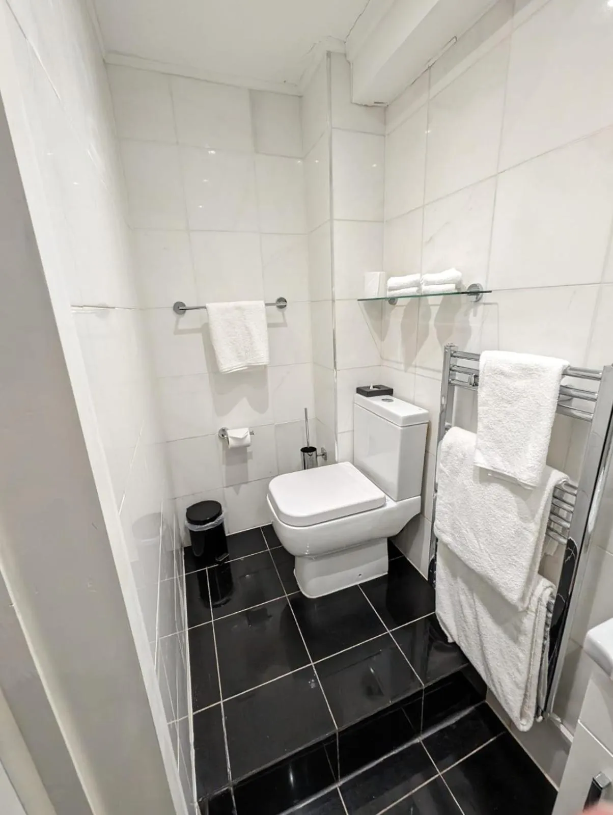 Toilet in The Elvetham Hotel