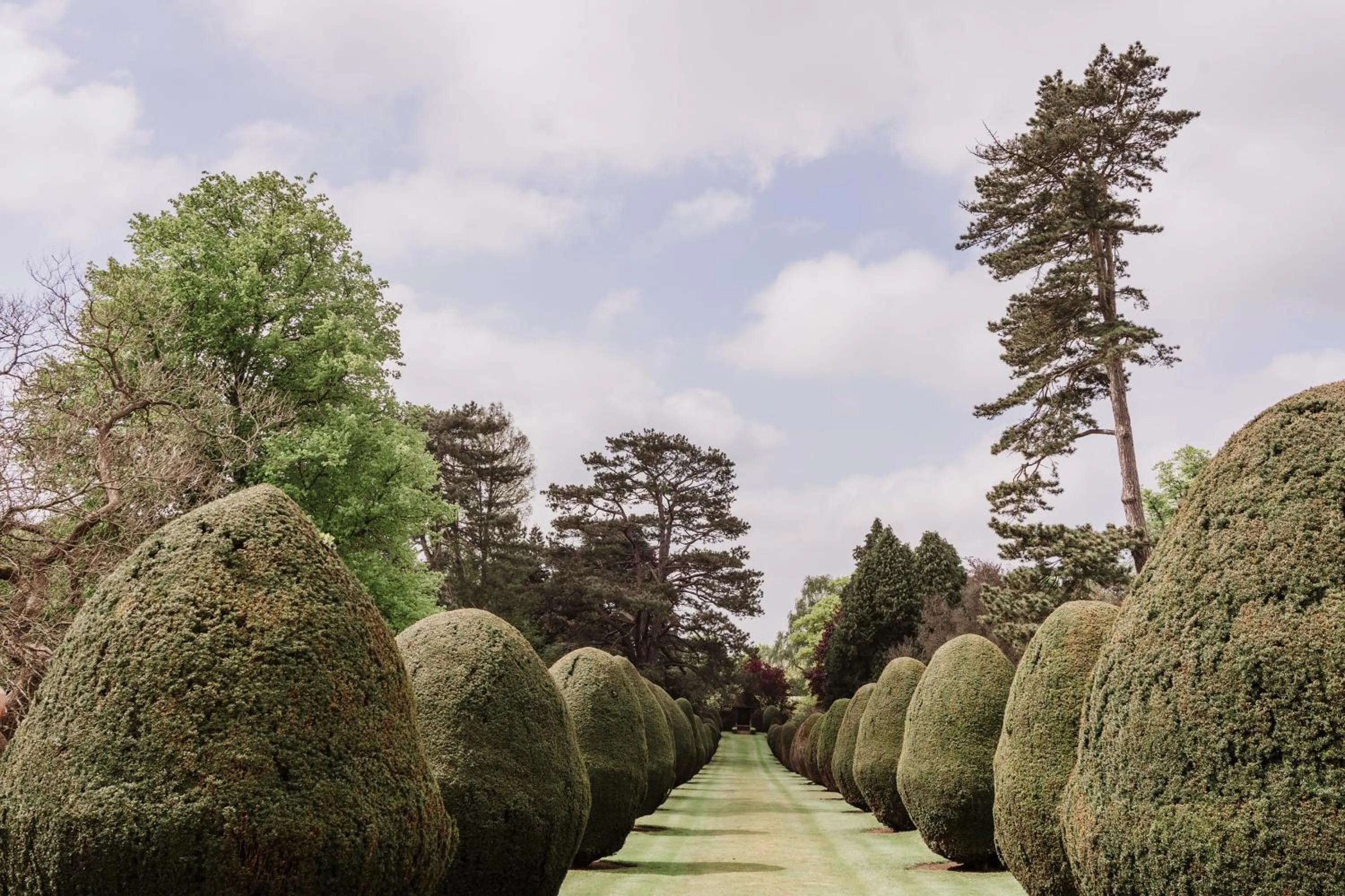 Garden in The Elvetham Hotel