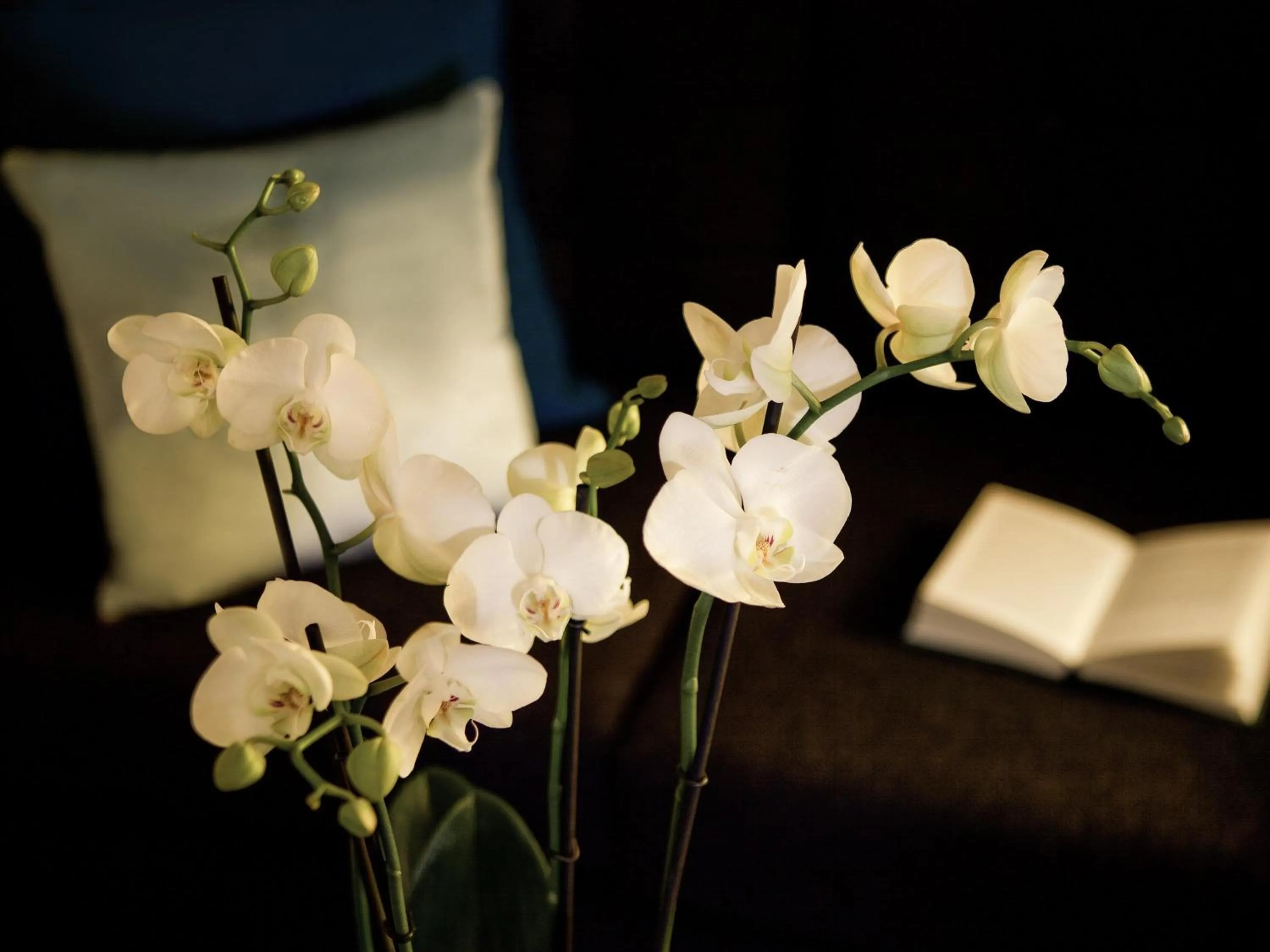 Bedroom in Pullman London St Pancras