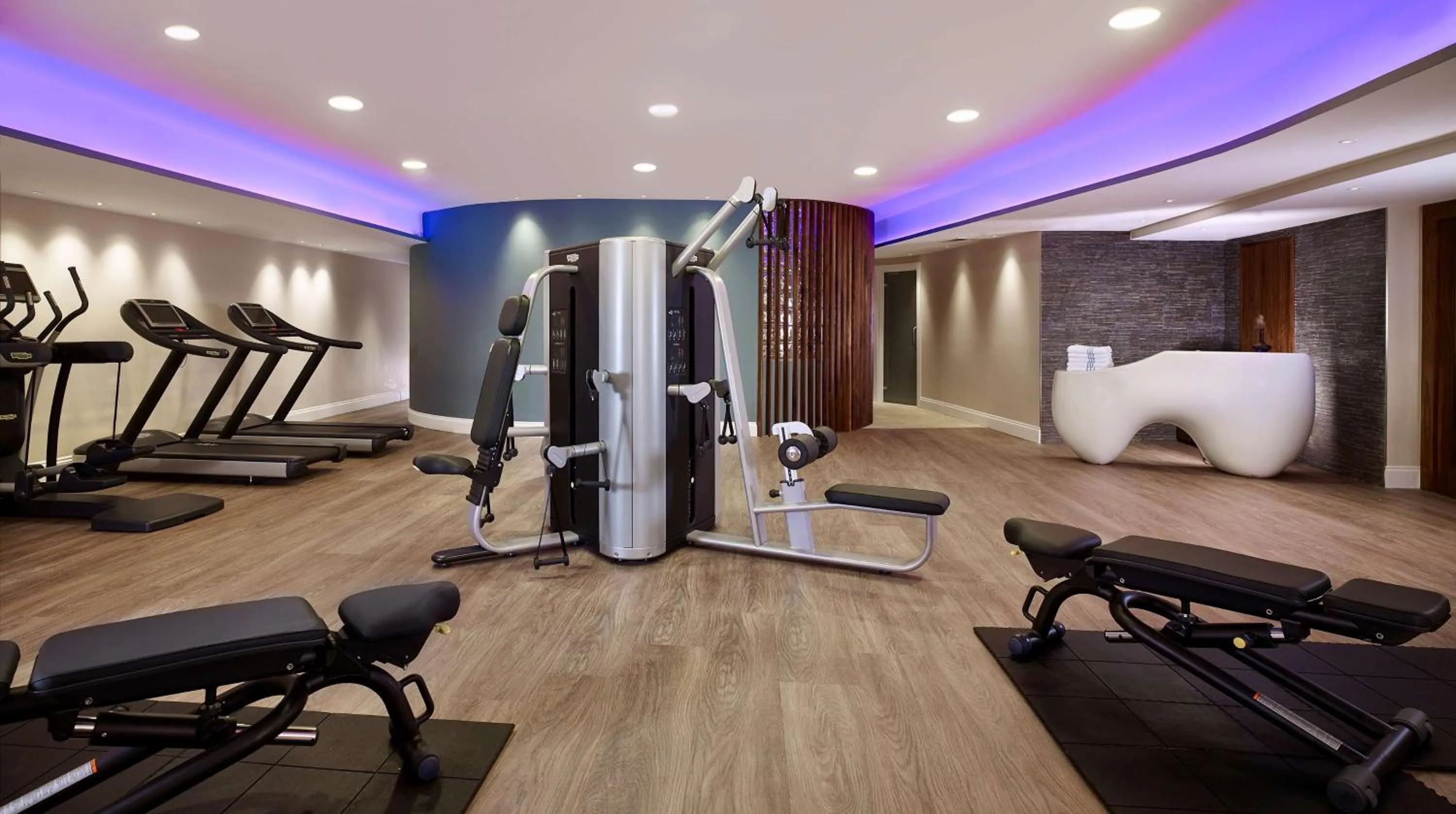 Spa and wellness centre/facilities in Park Plaza Victoria London