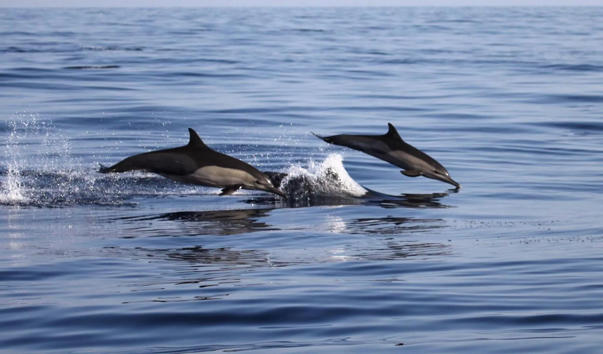 Sports in Souly Ecolodge Salalah