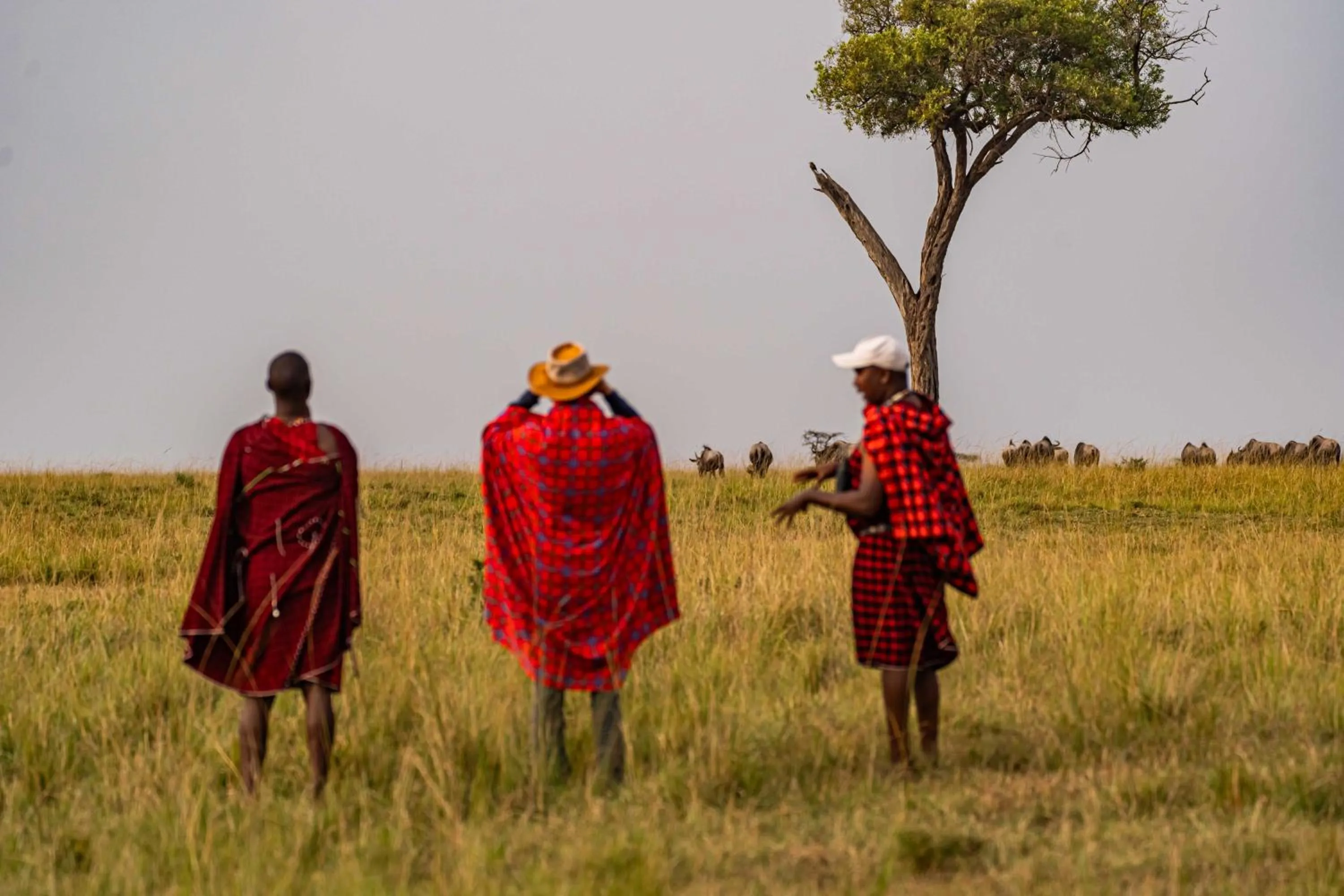 Activities in Royal Mara Safari Lodge