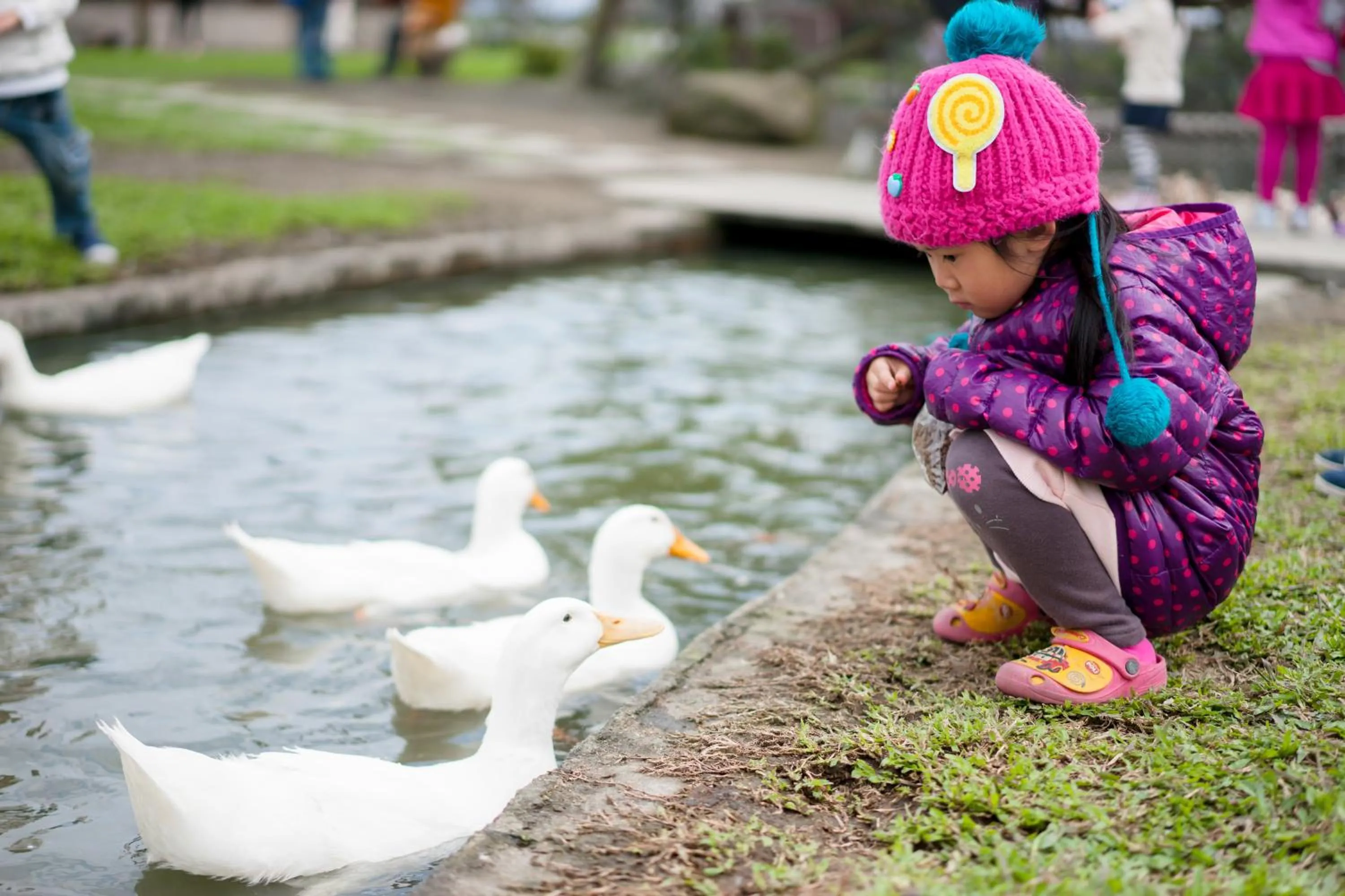 Other in Sunny Stream B & B