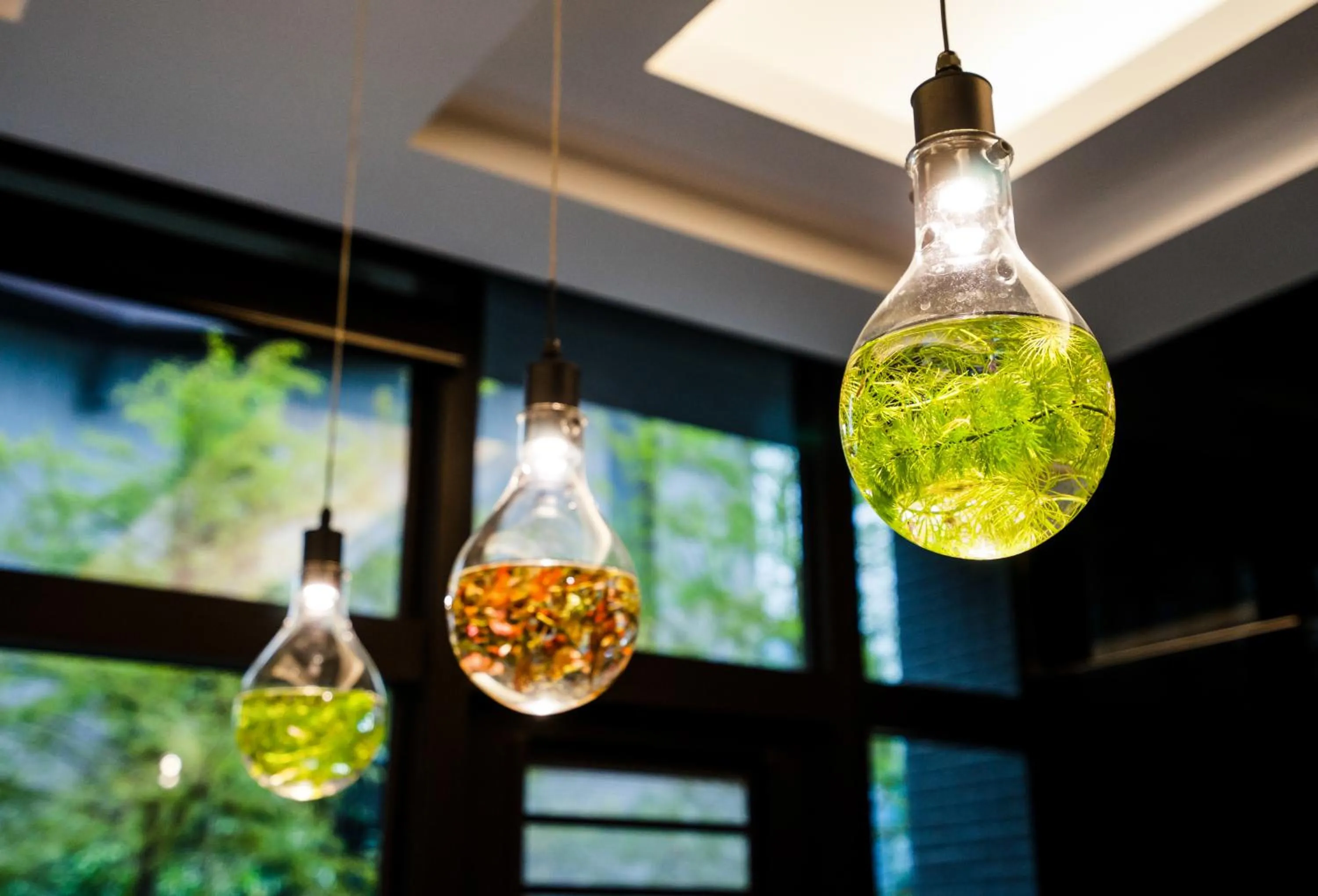 Decorative detail in Sunny Stream B & B