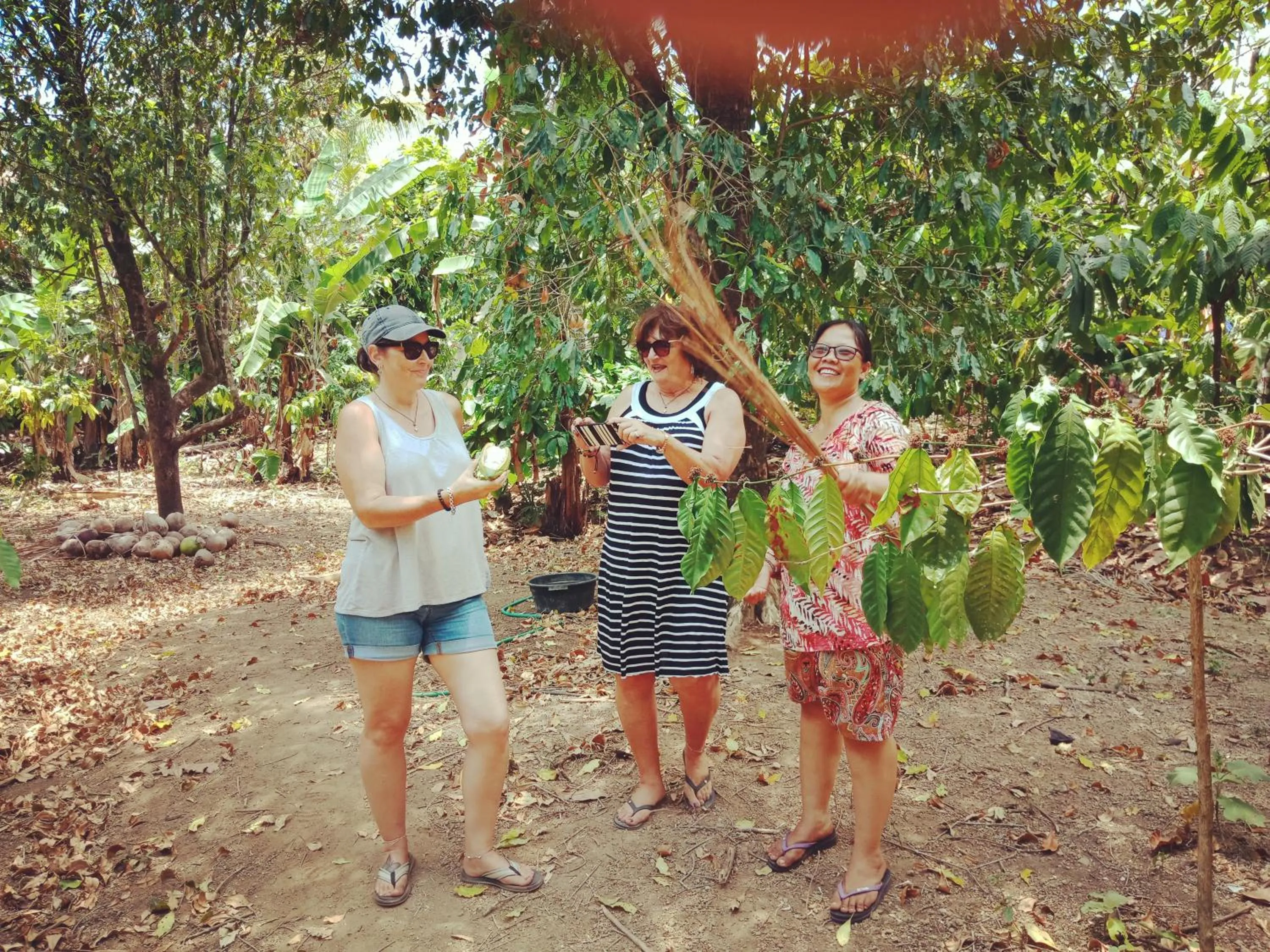 Hiking in Shibui Garden Bungalows and Restaurant