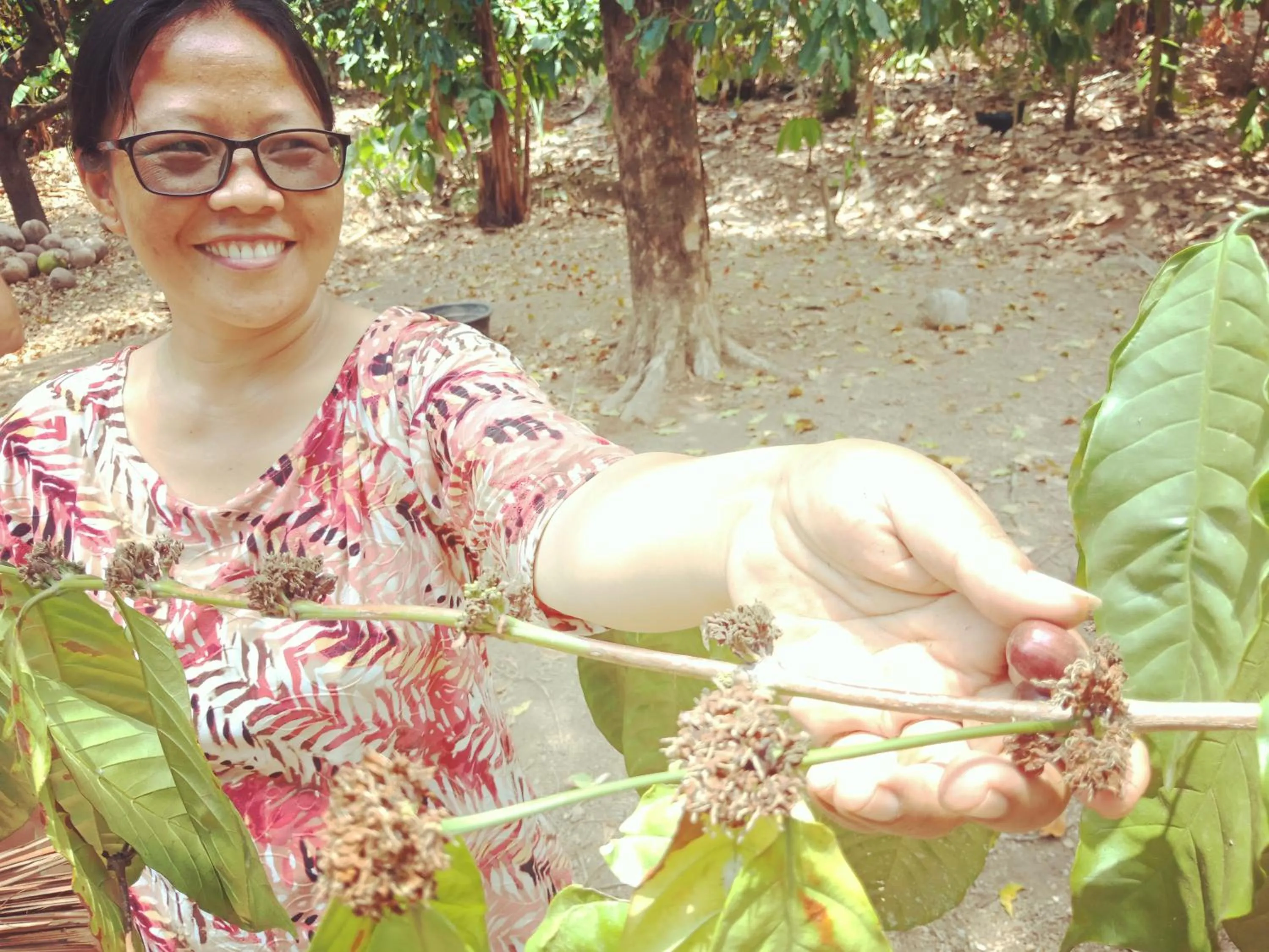 Coffee/tea facilities in Shibui Garden Bungalows and Restaurant