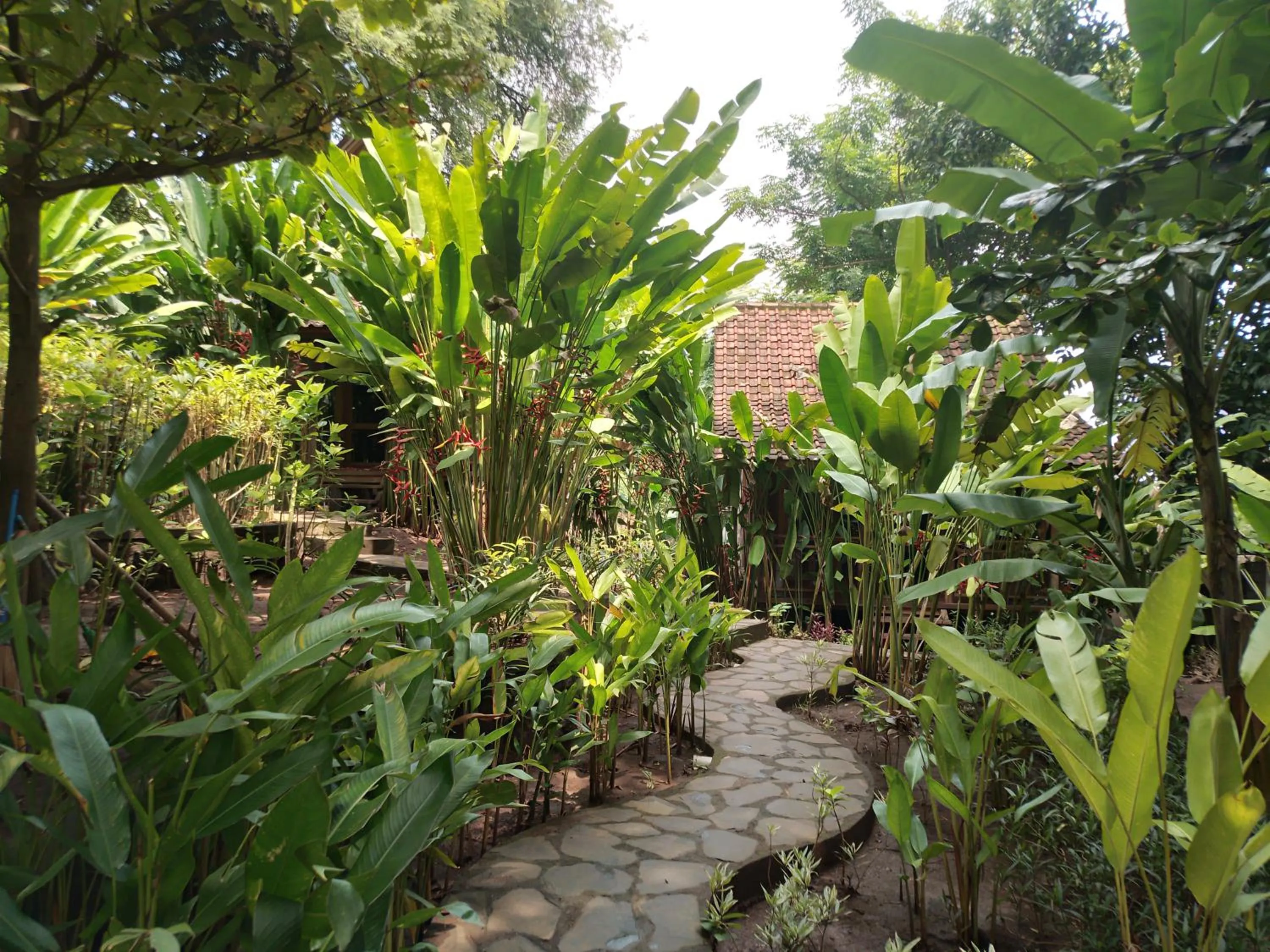 Garden in Ocean Prana Village