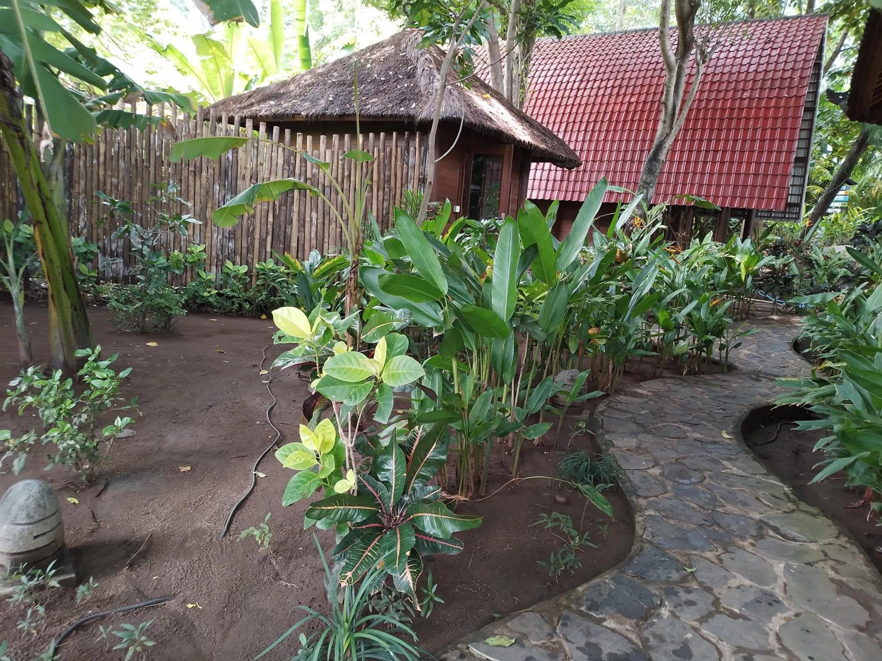 Garden in Ocean Prana Village
