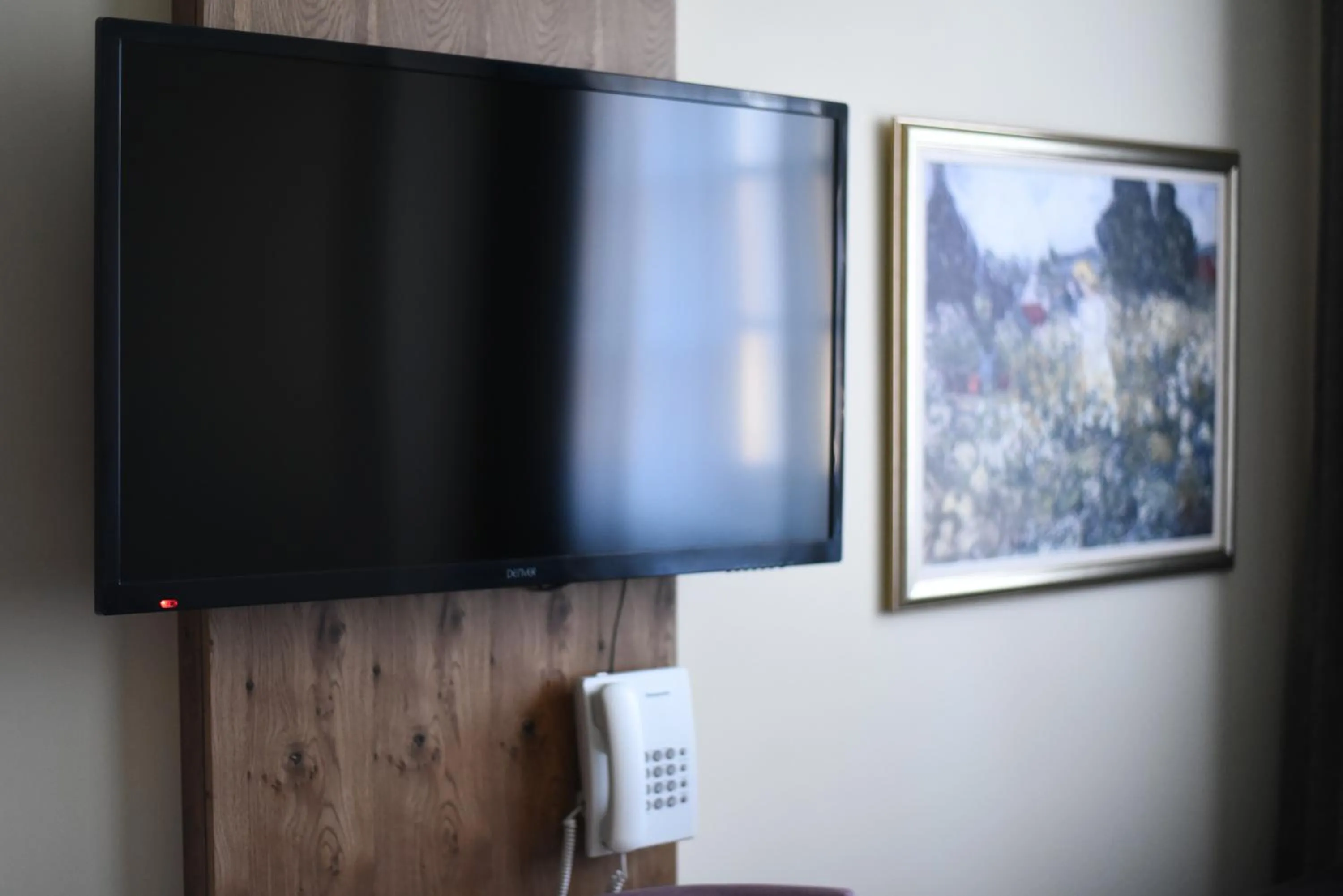 TV and multimedia in B&B Villa Panuka