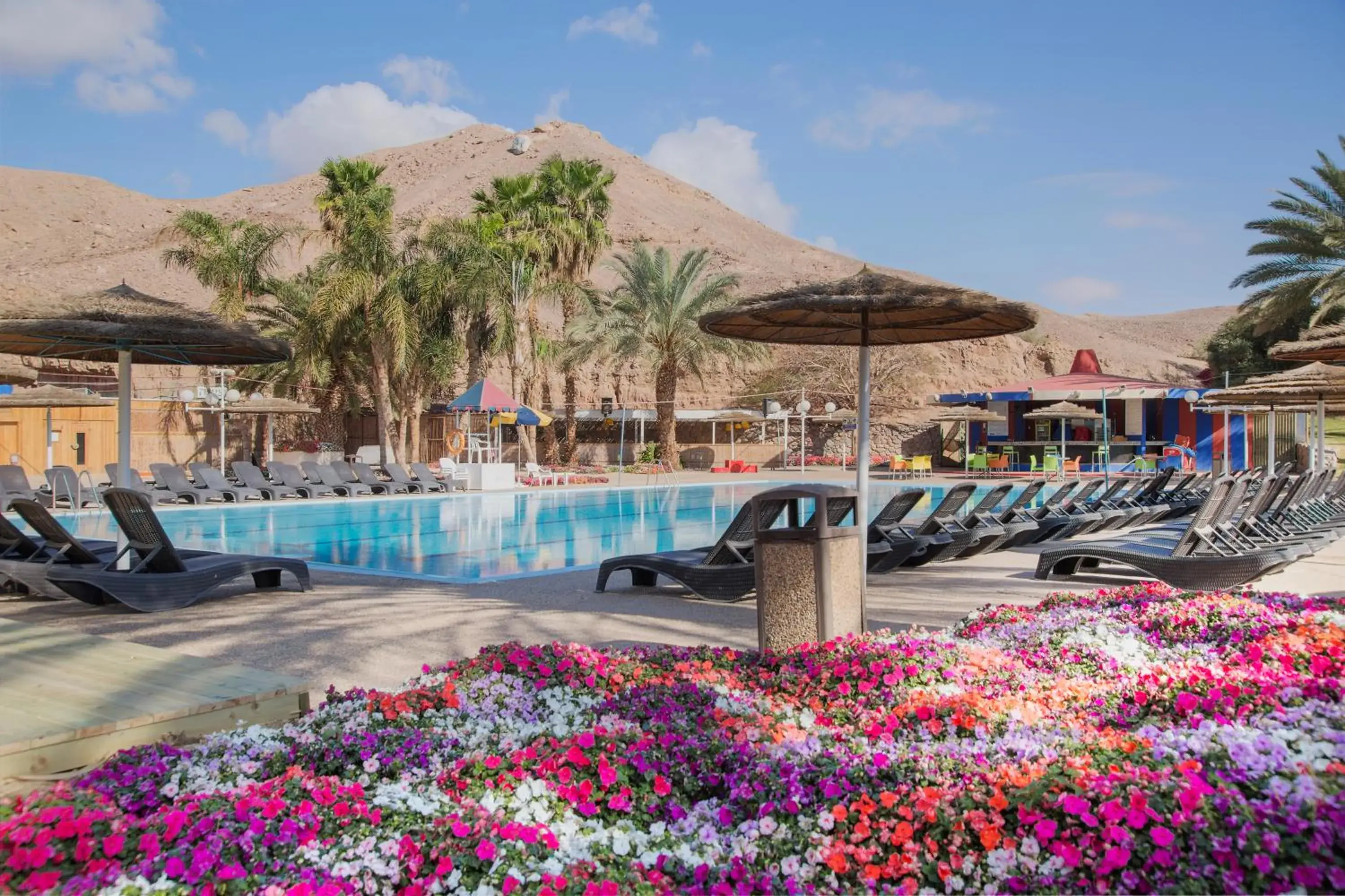 Swimming pool in Prima Music Hotel Swimming pool in Prima Music Hotel