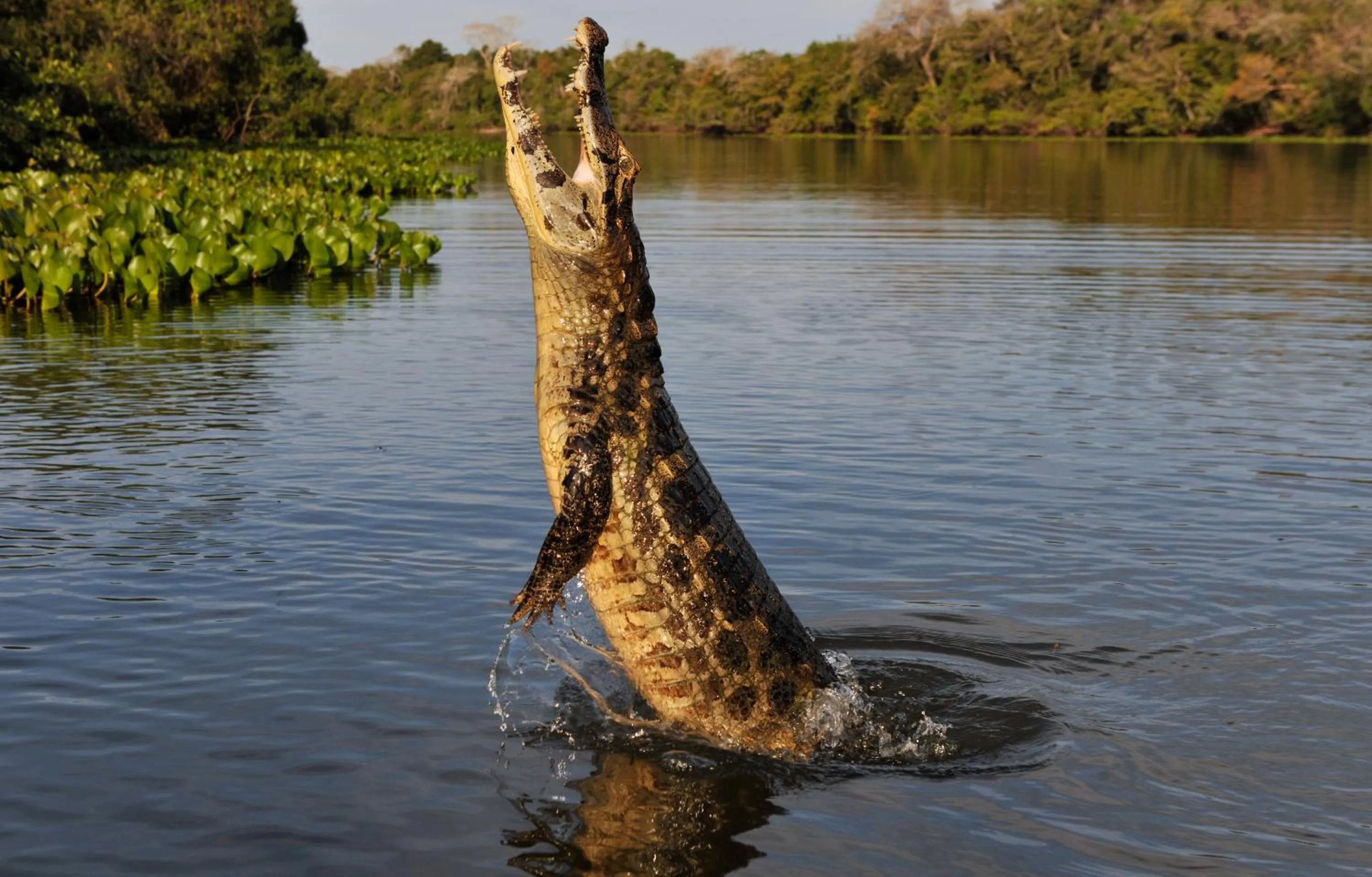 Natural landscape in Pousada Rio Claro