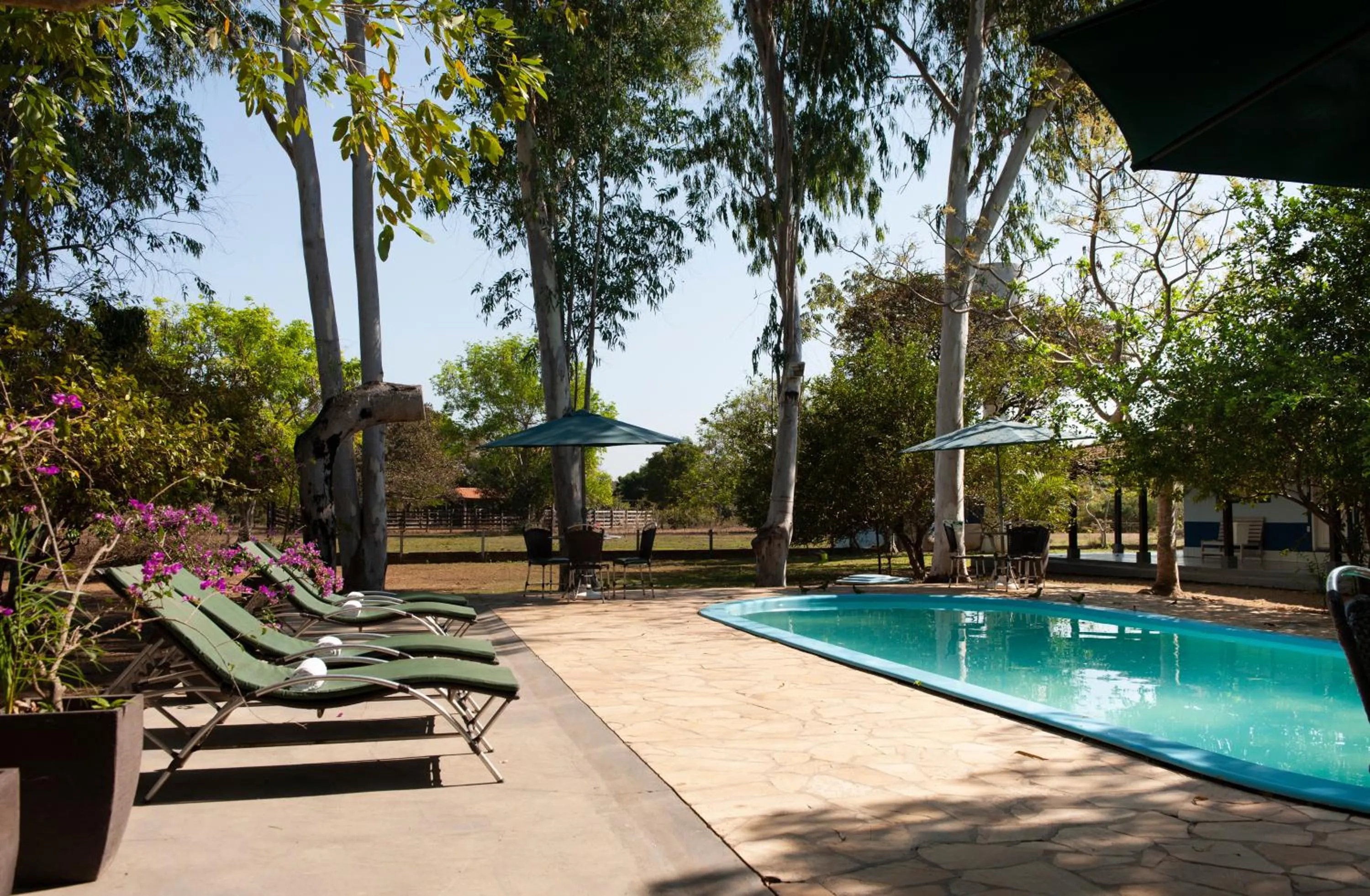 Swimming pool in Pousada Rio Claro