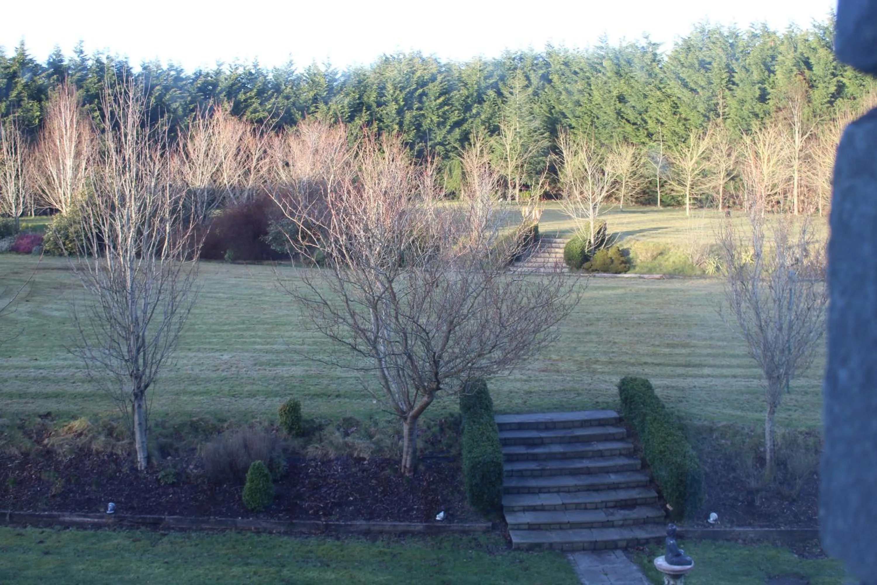 Garden view in Castledale