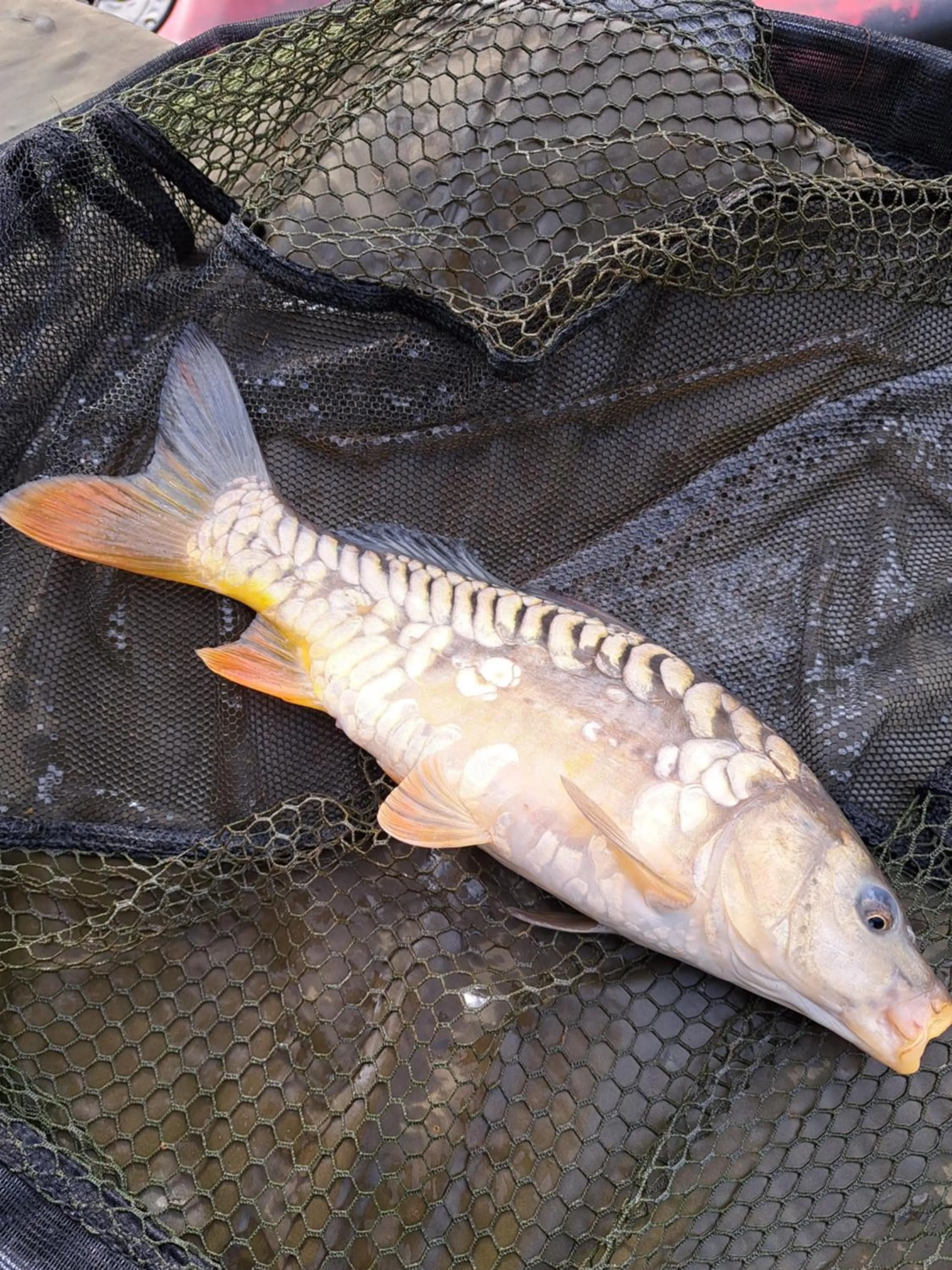 Fishing in Boardman's Lodge