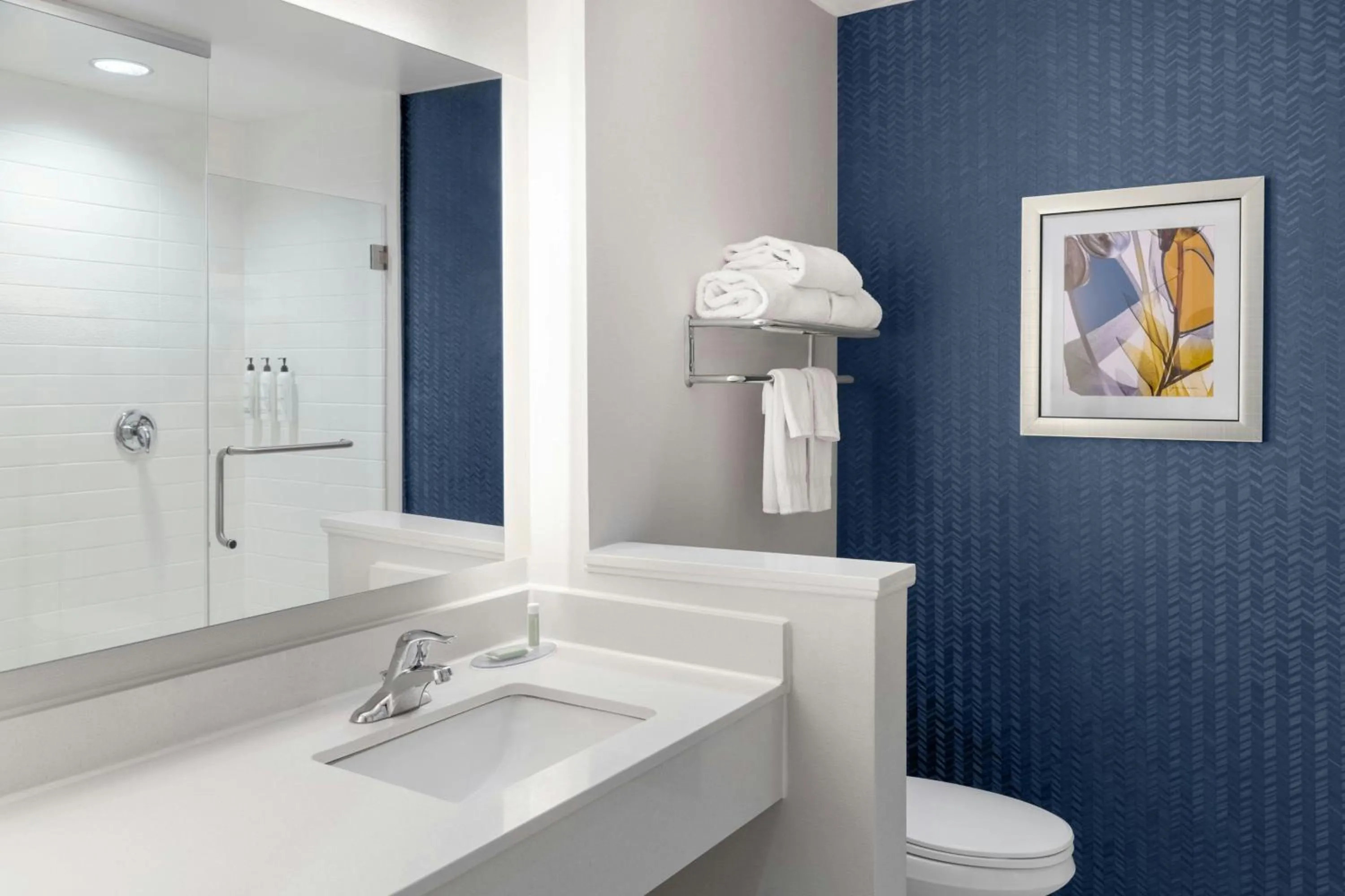 Bathroom in Fairfield Inn & Suites by Marriott Atlanta Acworth