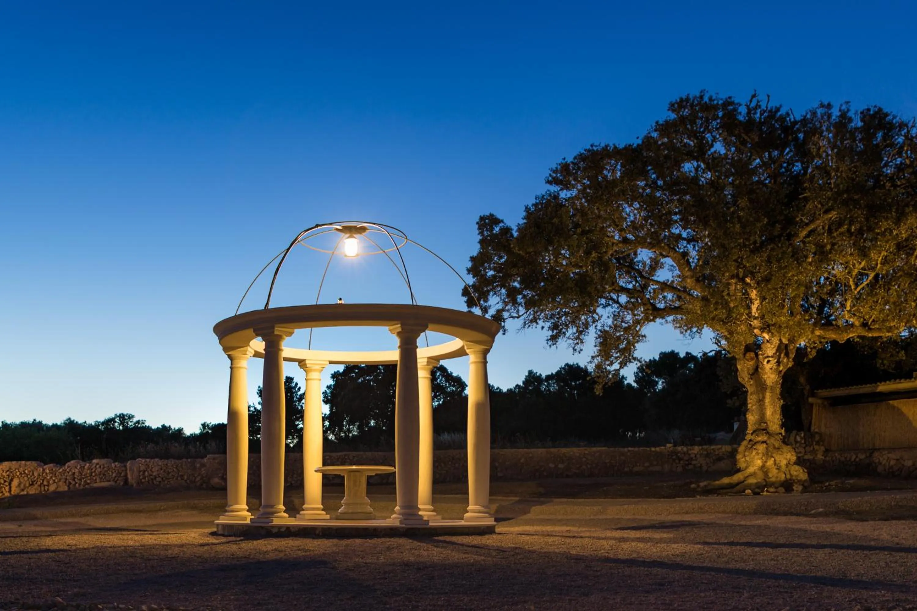 Garden in Agroturismo Ses Vistes
