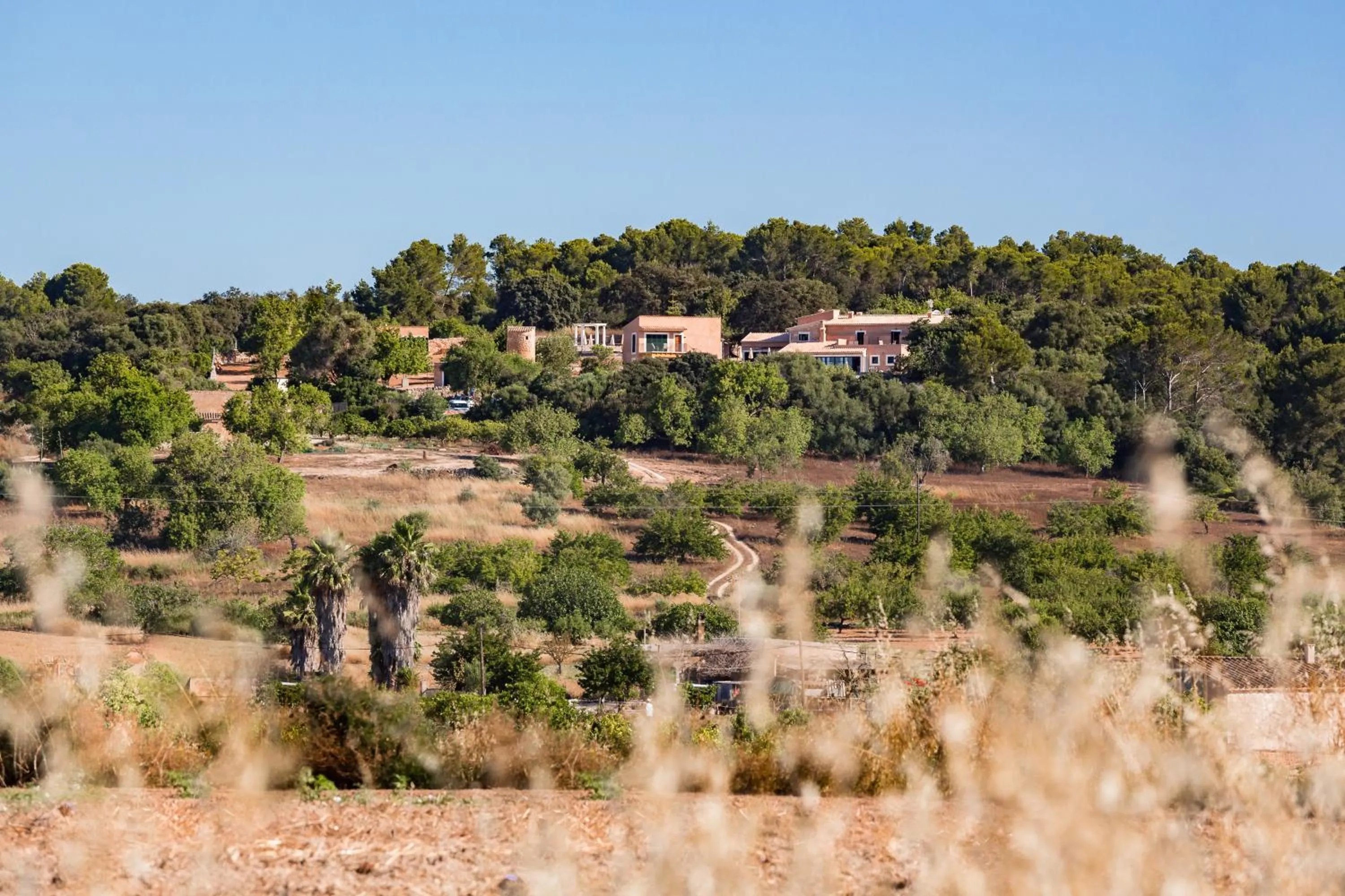 Bird's eye view in Agroturismo Ses Vistes