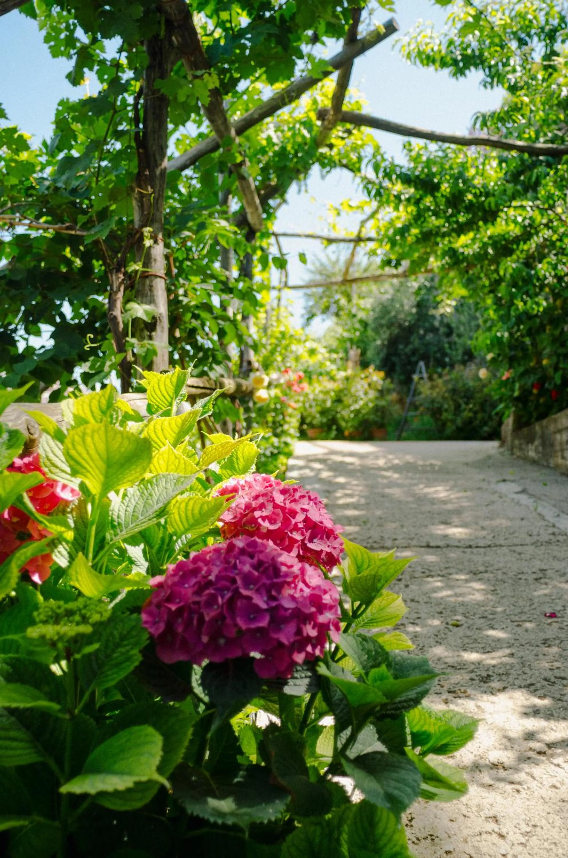 Natural landscape in Rosa e Valentino