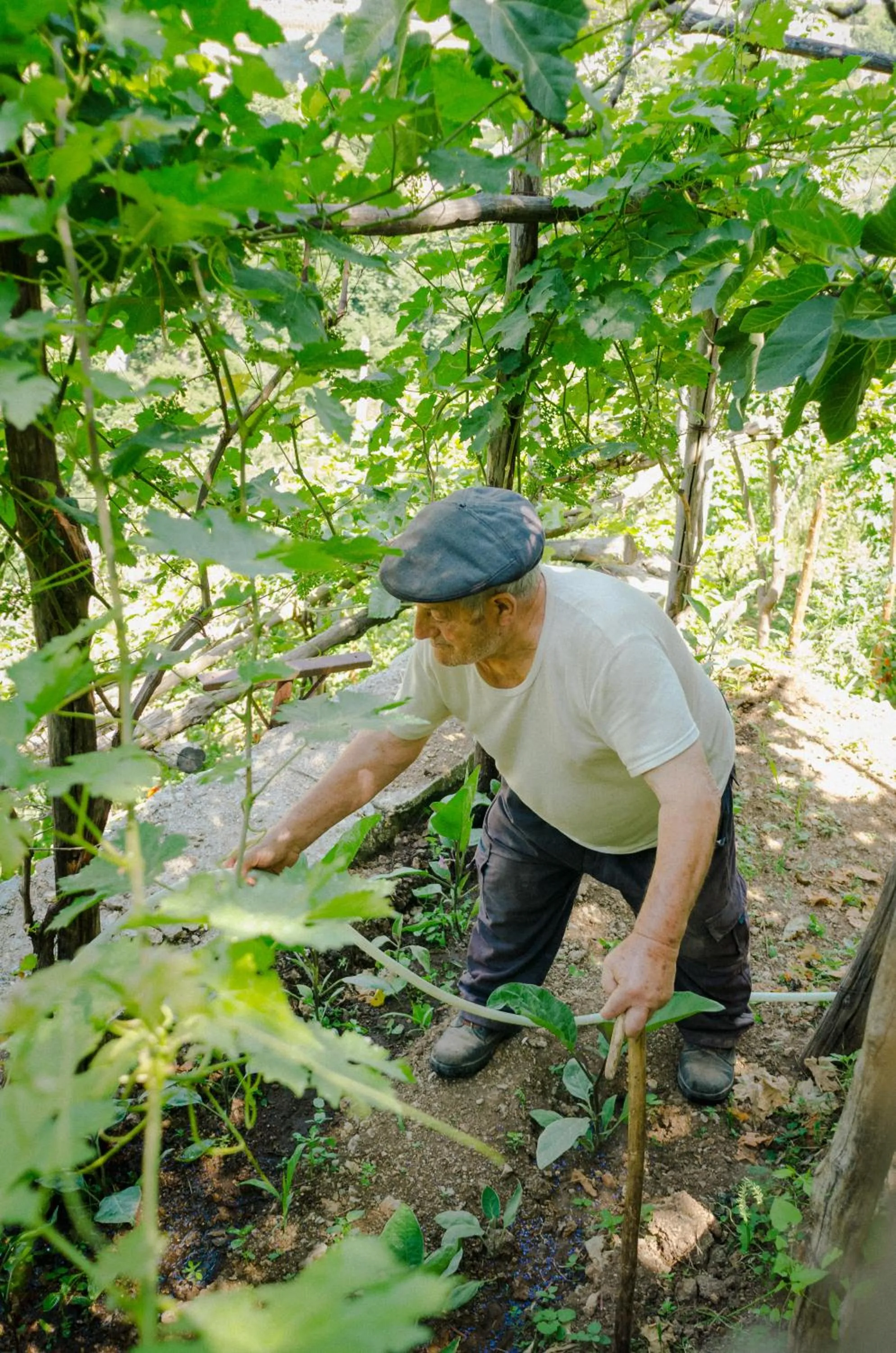 People in Rosa e Valentino