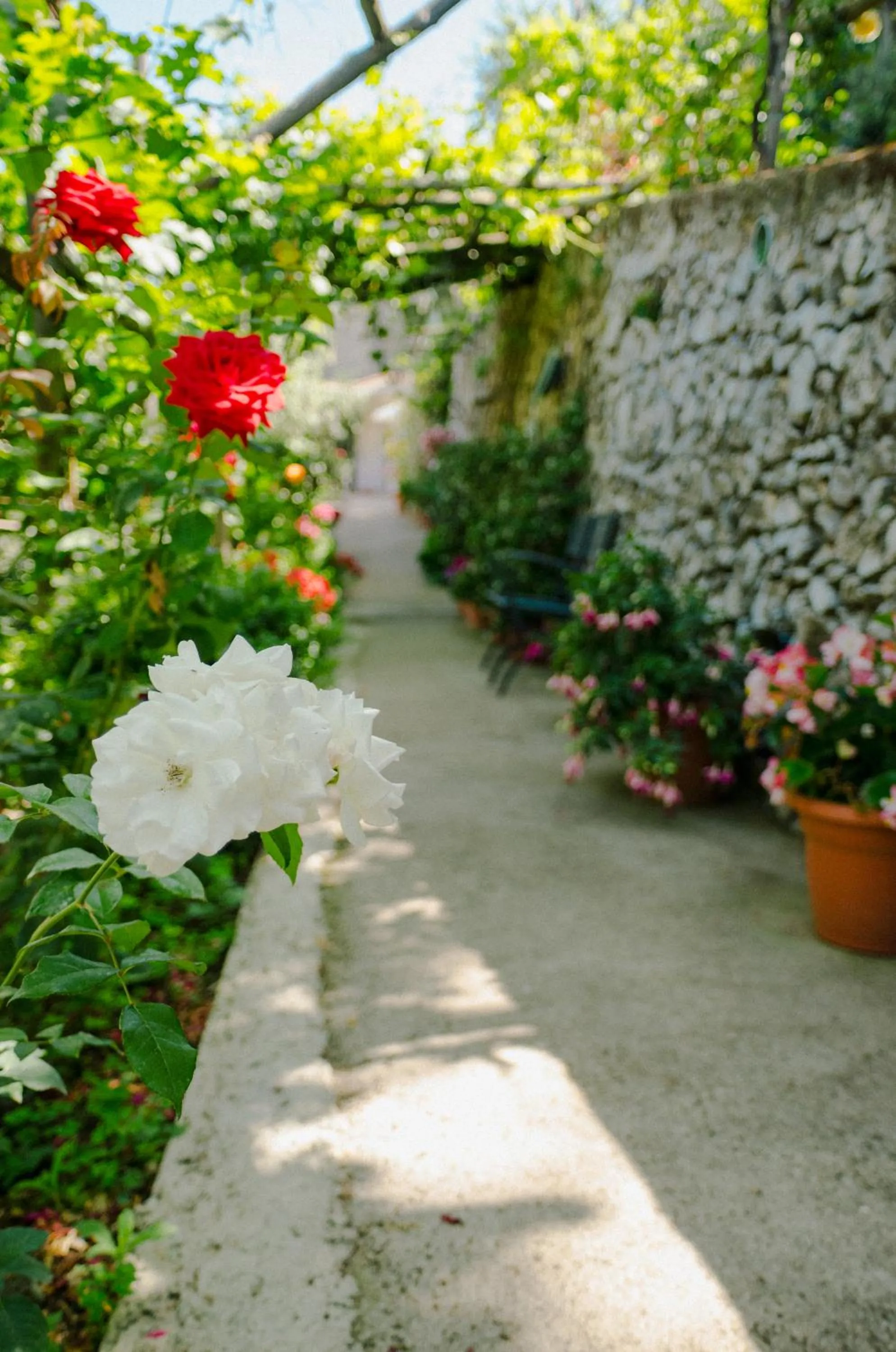 Summer in Rosa e Valentino