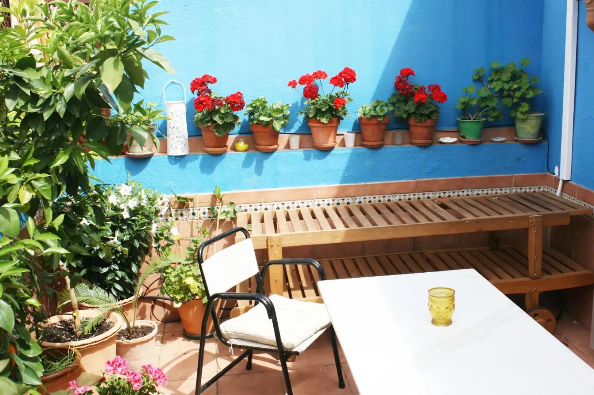 La Terraza Azul La Terraza Azul