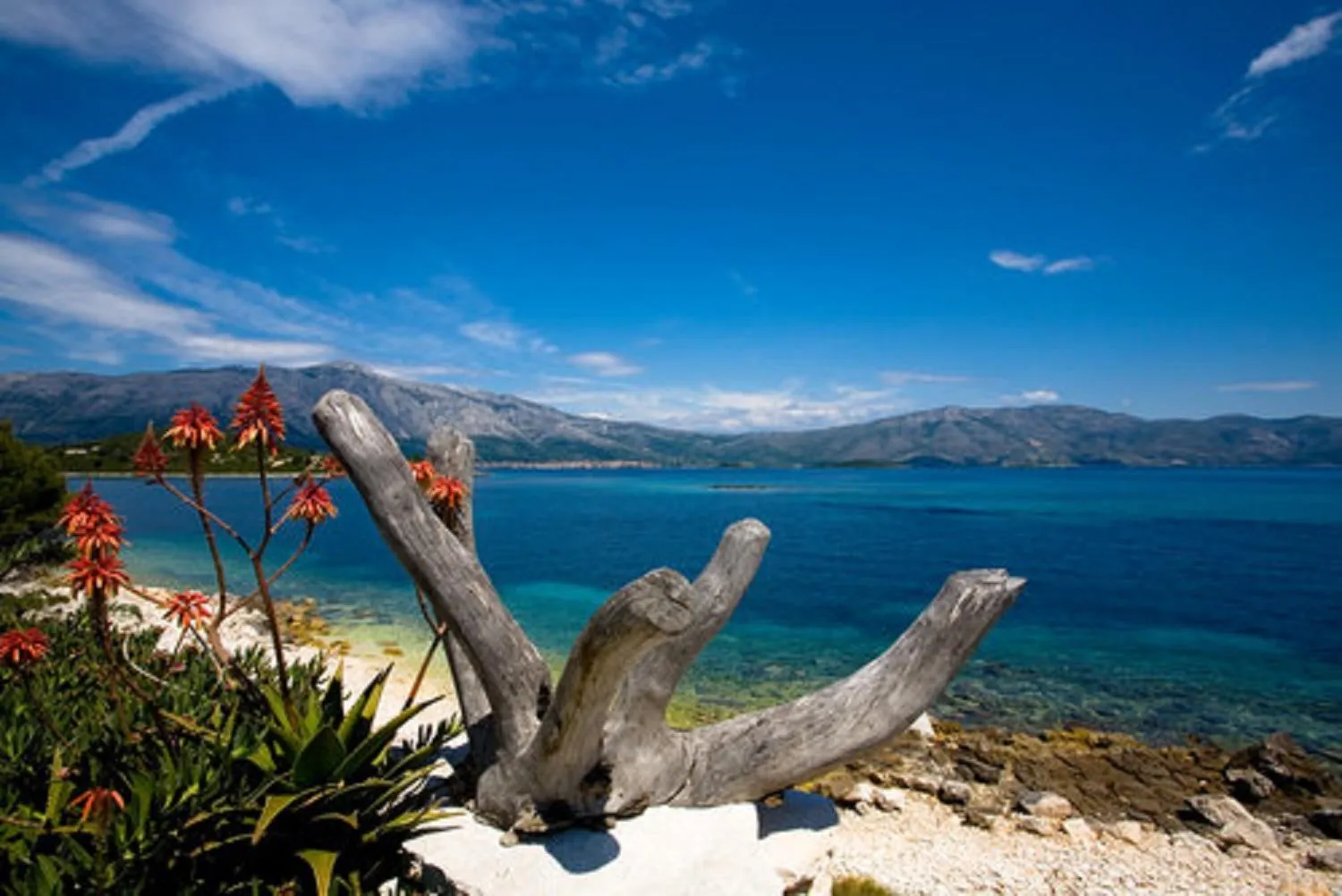 Natural landscape in Dragan's Den Hostel