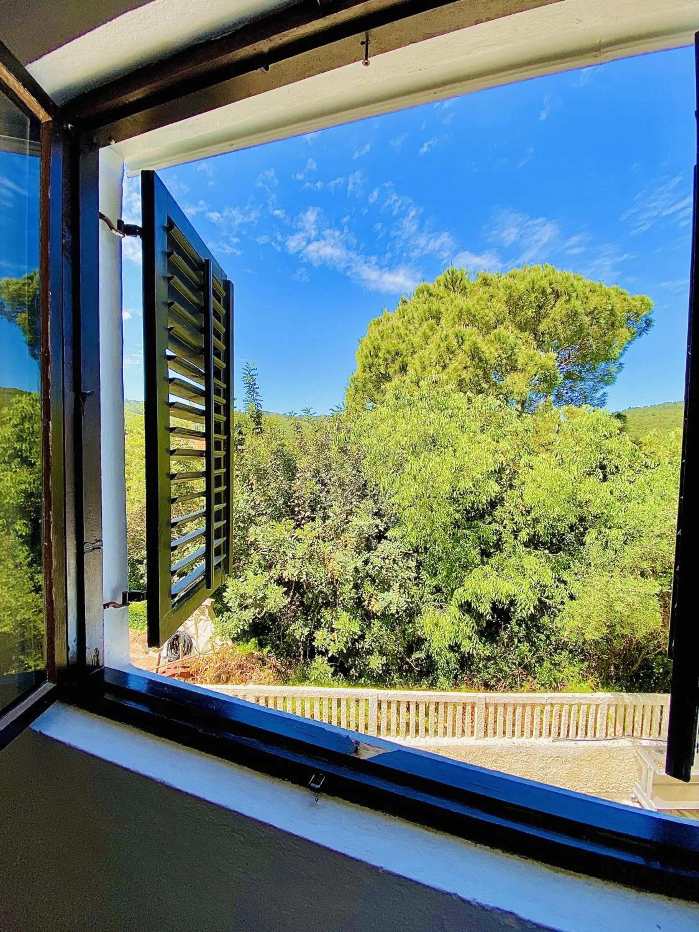 Mountain view in Dragan's Den Hostel