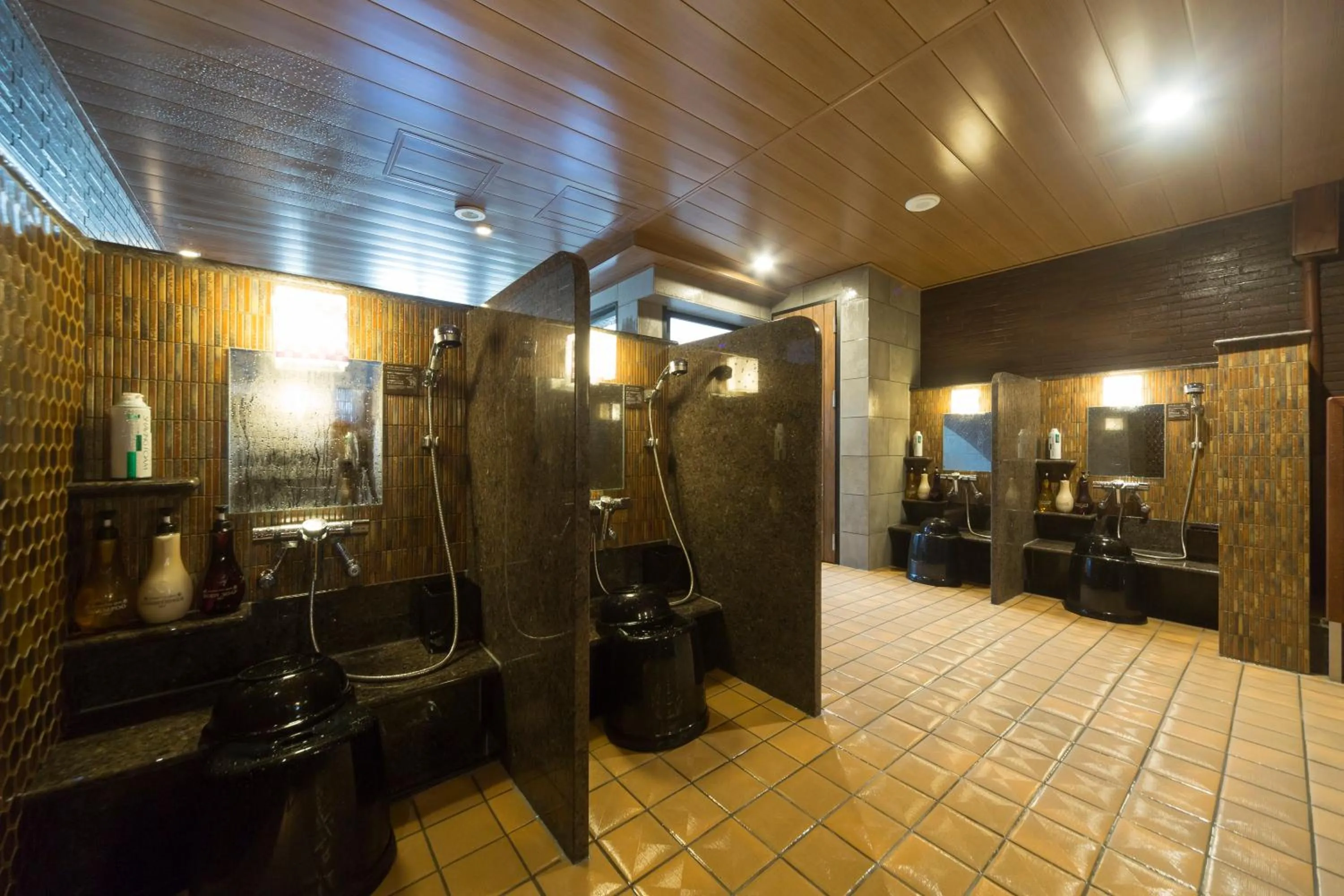 Dormy Inn Premium Kanda