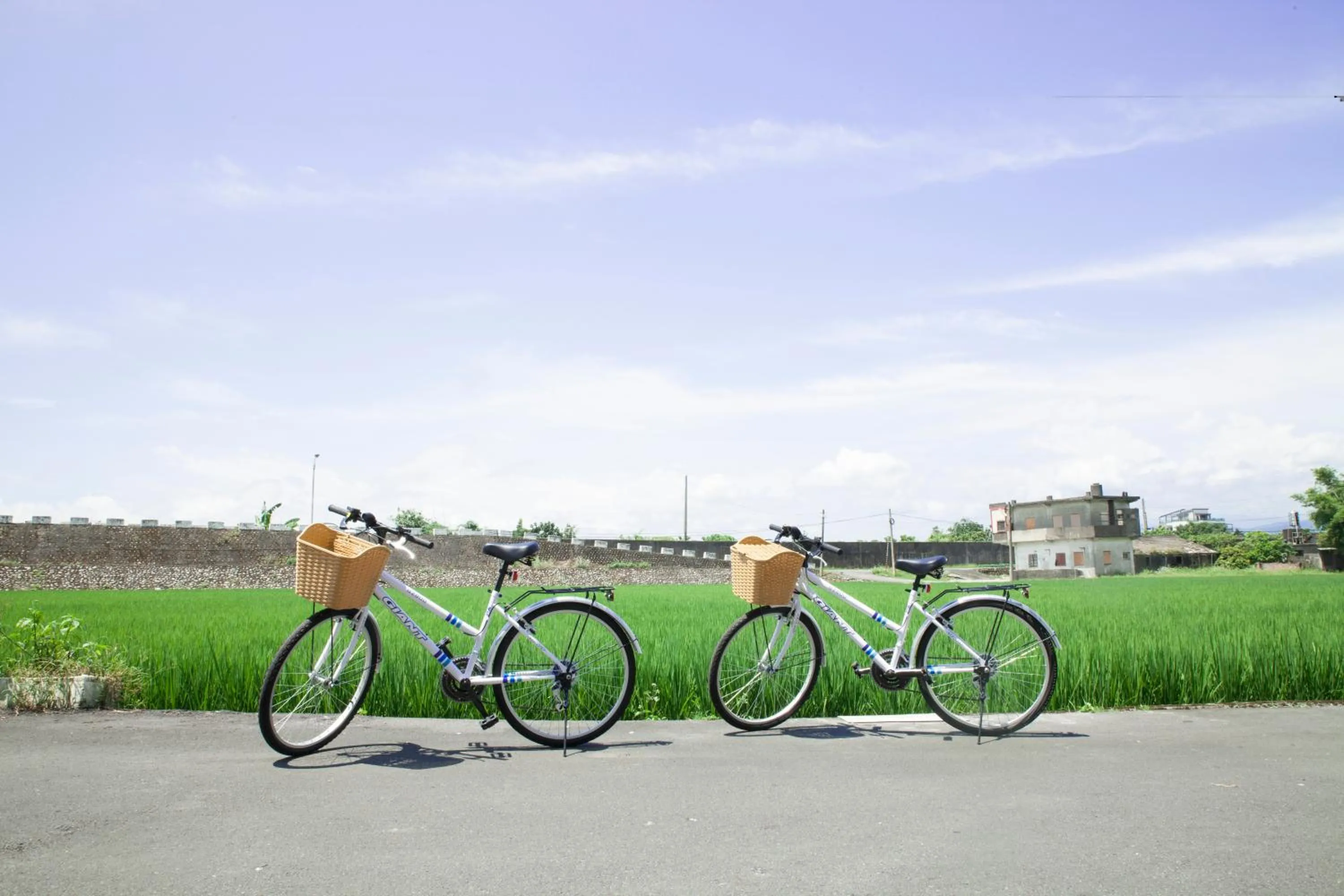View (from property/room) in Beyond Home