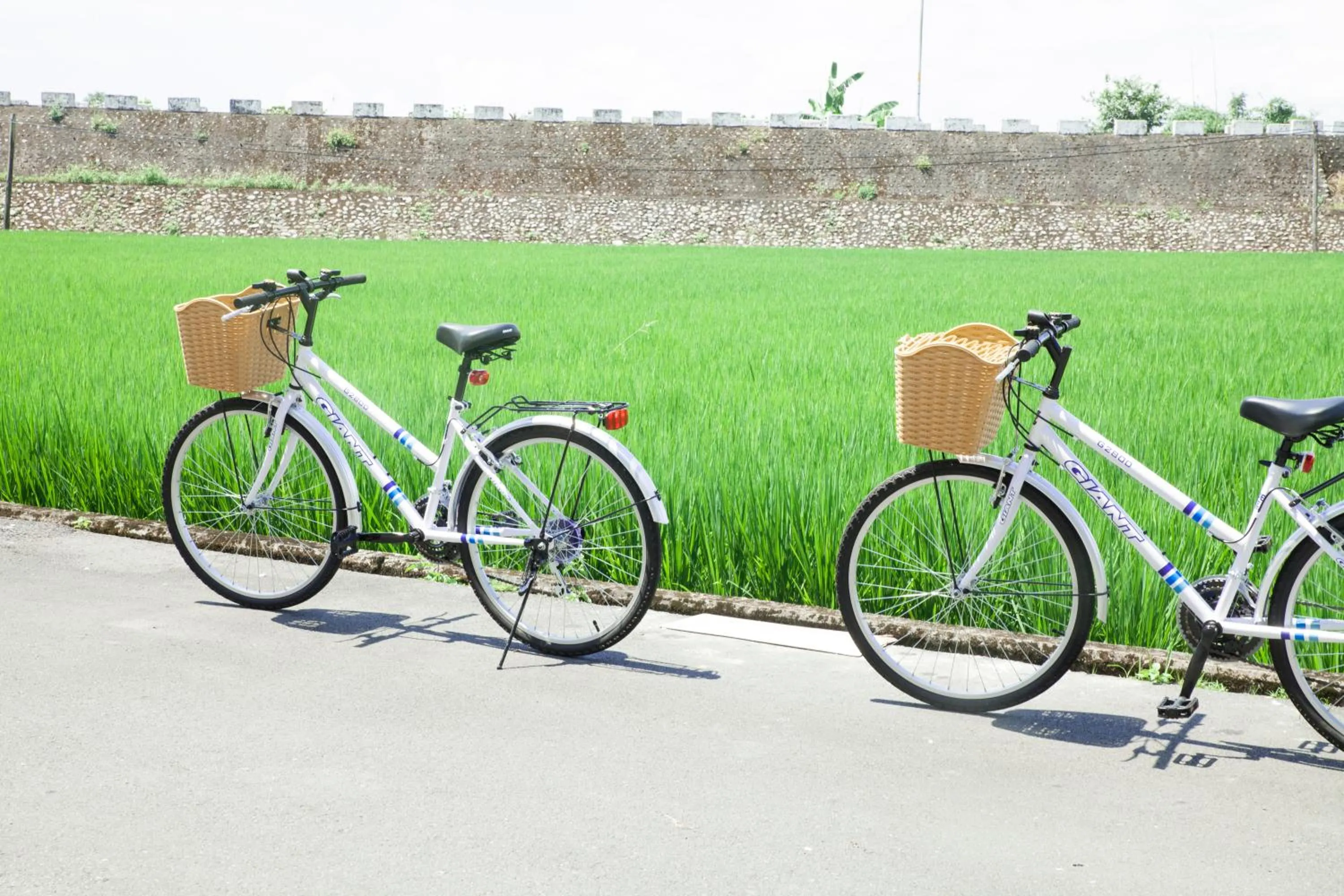 Property building in Beyond Home