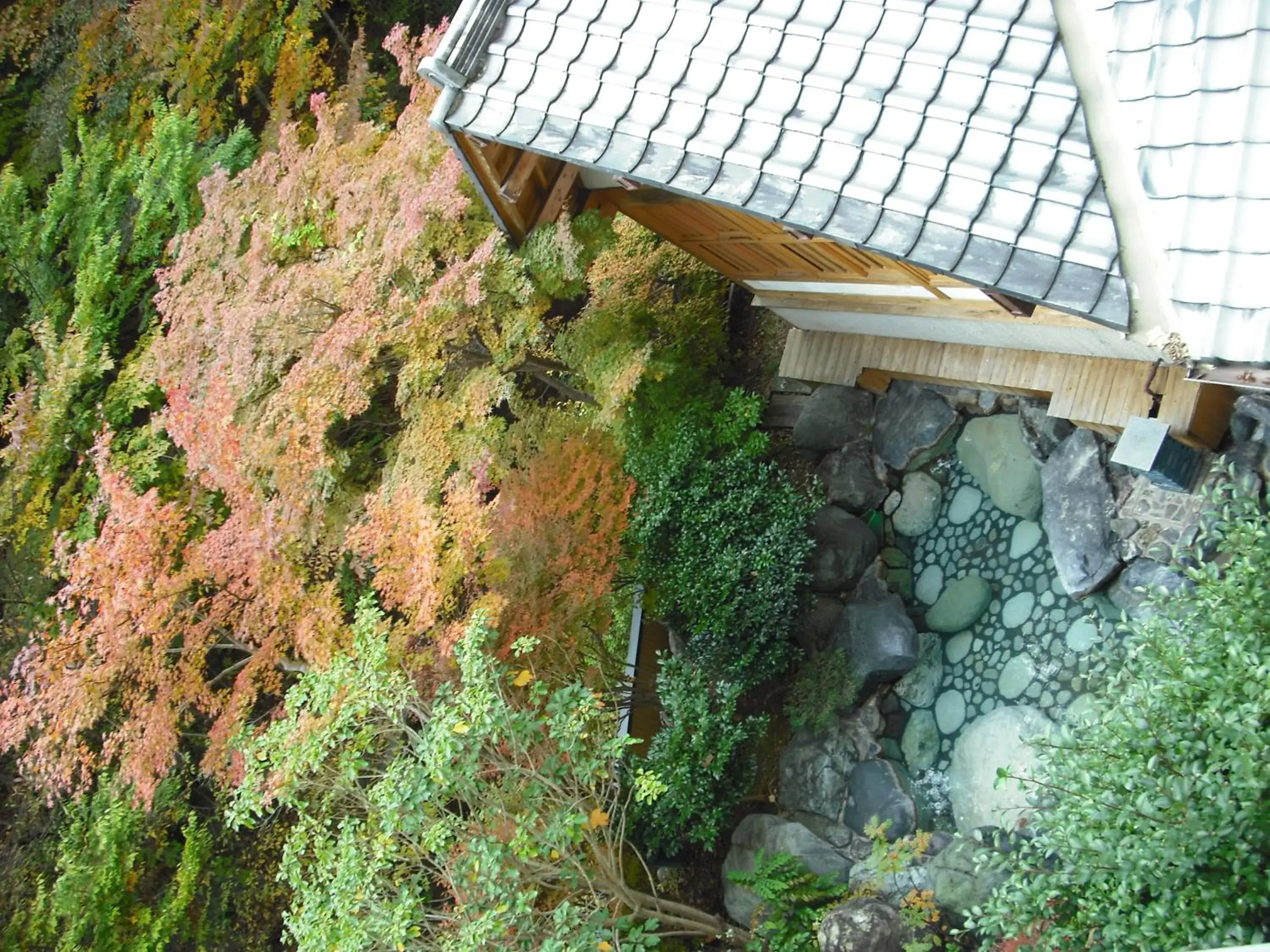 Bird's eye view in Shima Tamura Bird's eye view in Shima Tamura