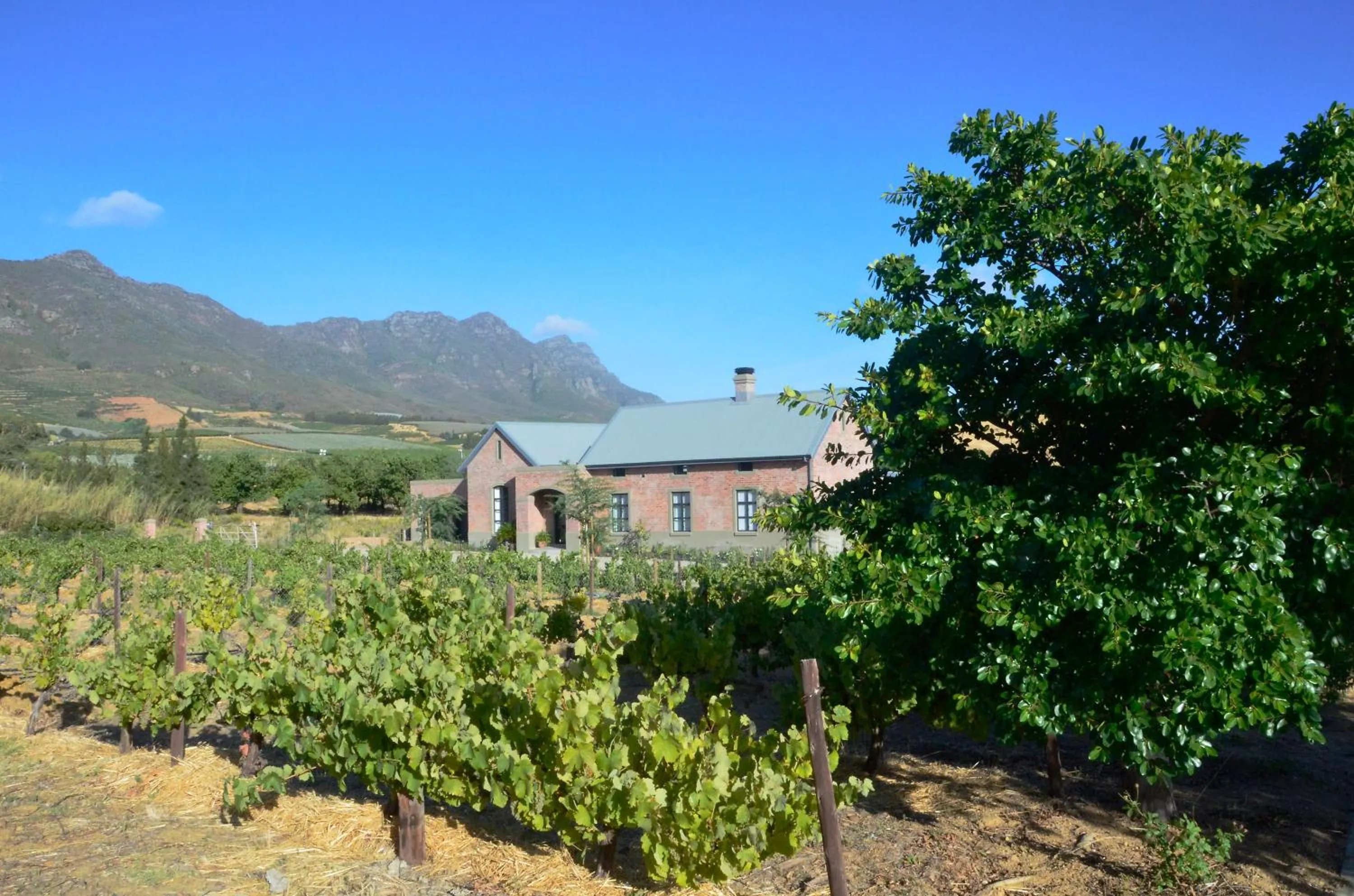 Mountain view in Vineyard Views Country House