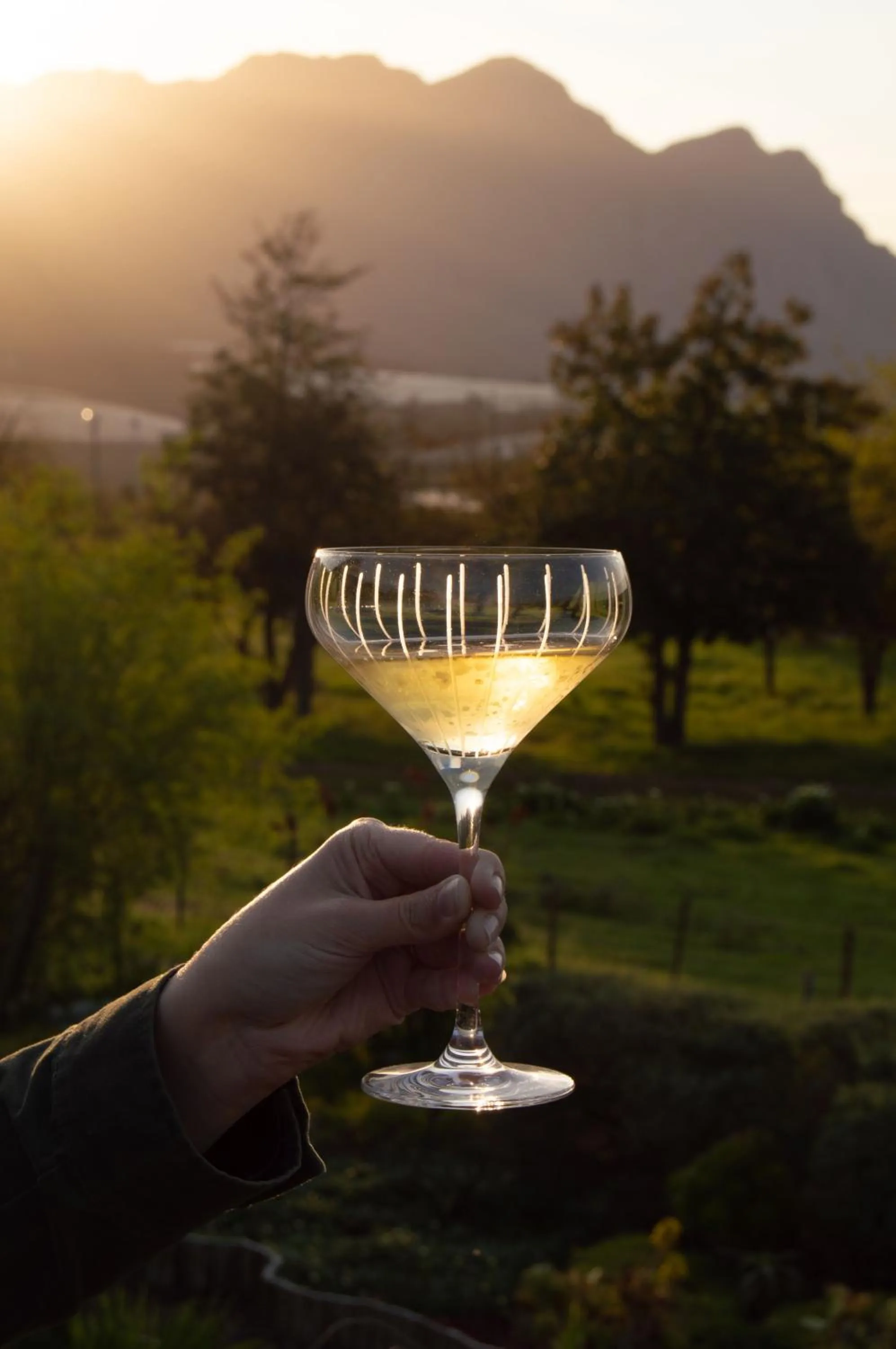 Vineyard Views Country House