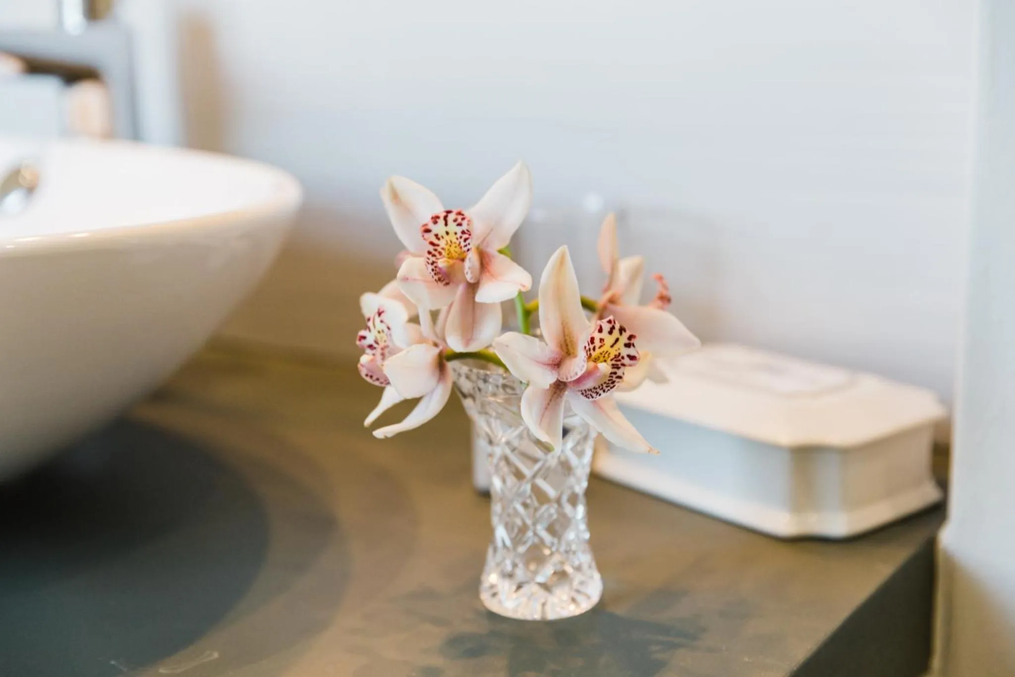 Vineyard Views Country House