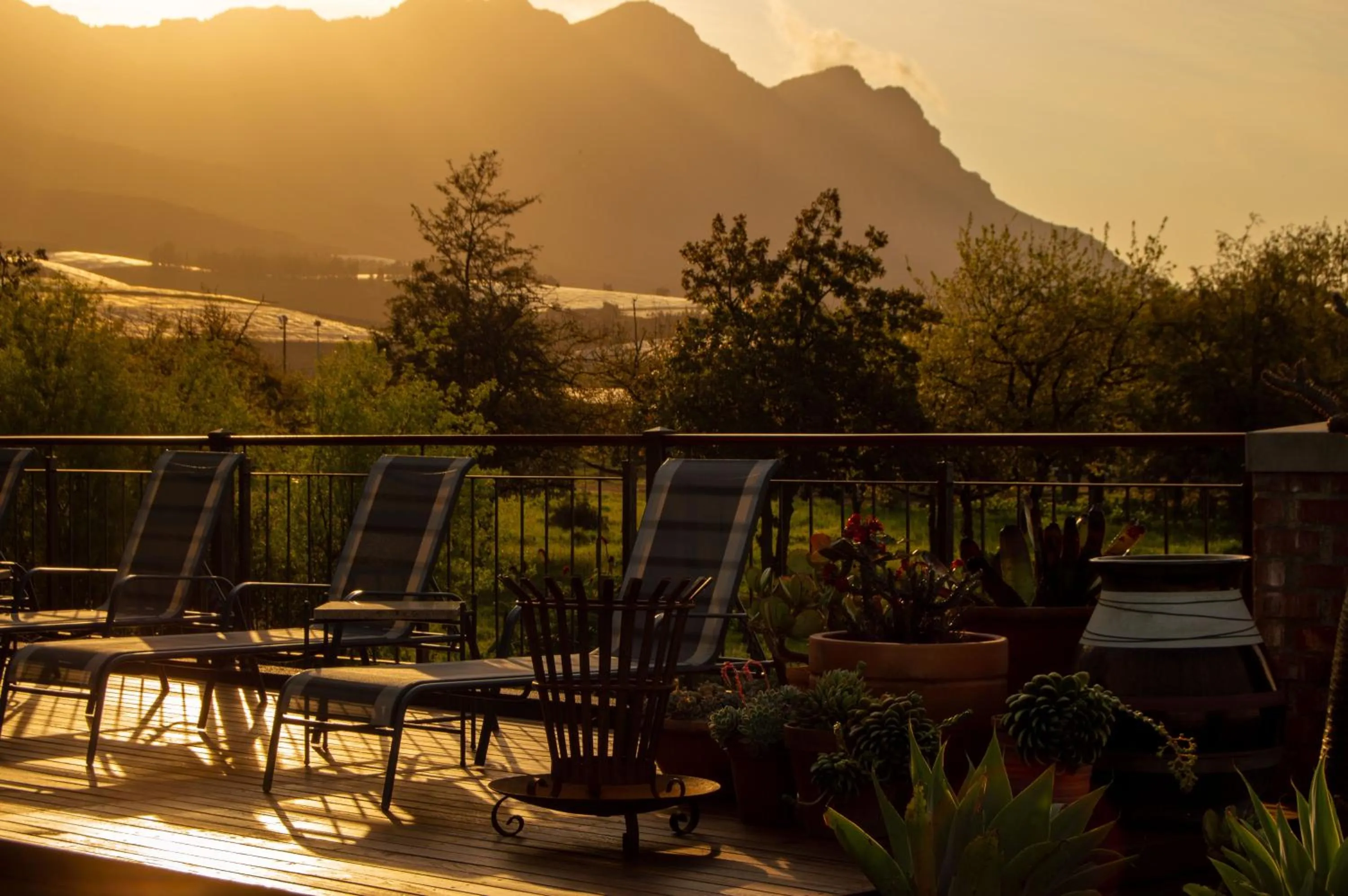 Vineyard Views Country House