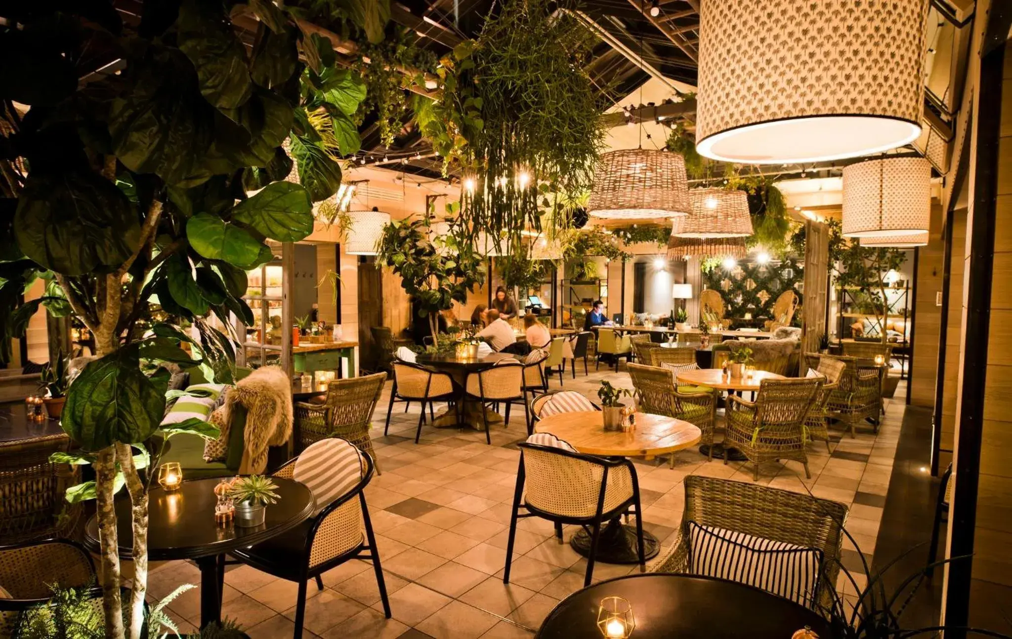 Lounge or bar in Kimpton Charlotte Square by IHG Lounge or bar in Kimpton Charlotte Square by IHG