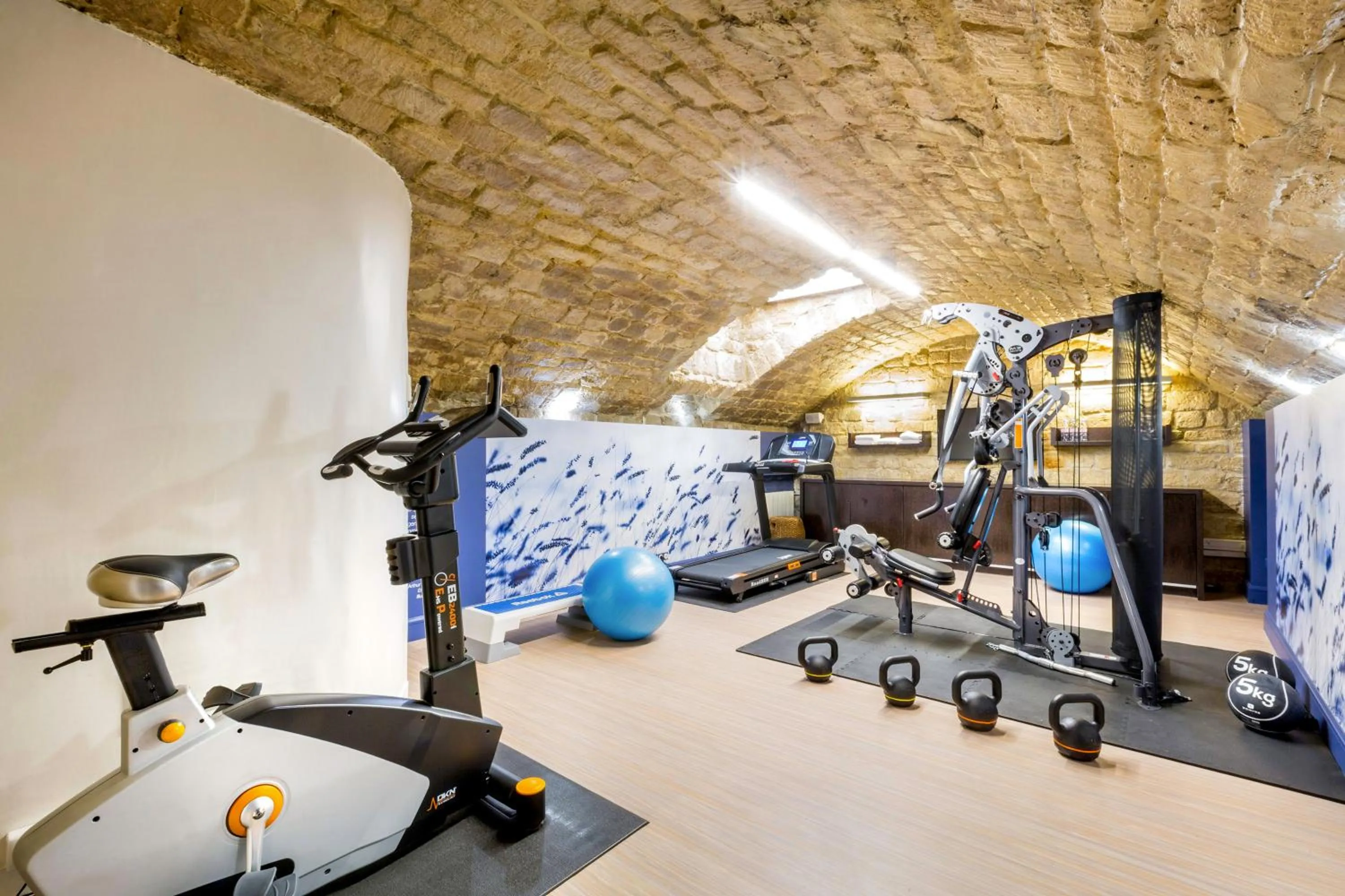 Fitness centre/facilities in Hôtel Littéraire Arthur Rimbaud, BW Signature Collection