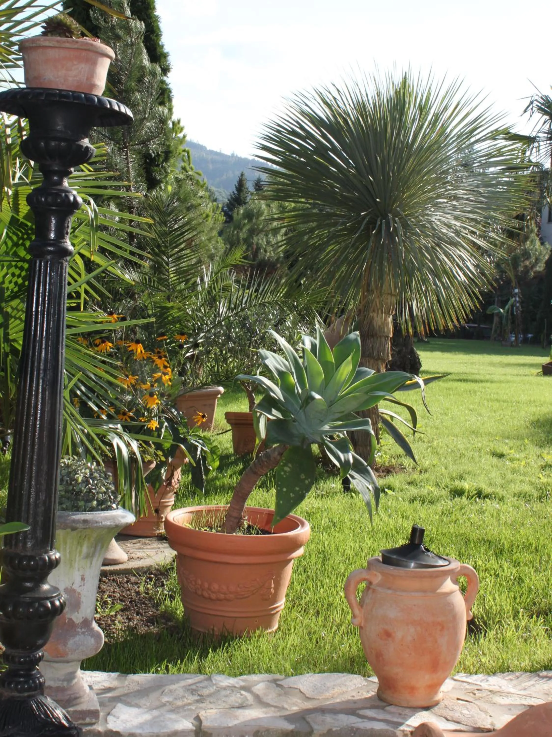 Property building in Hazienda Apartmenthotel - Für ein paar Tage oder monatelang