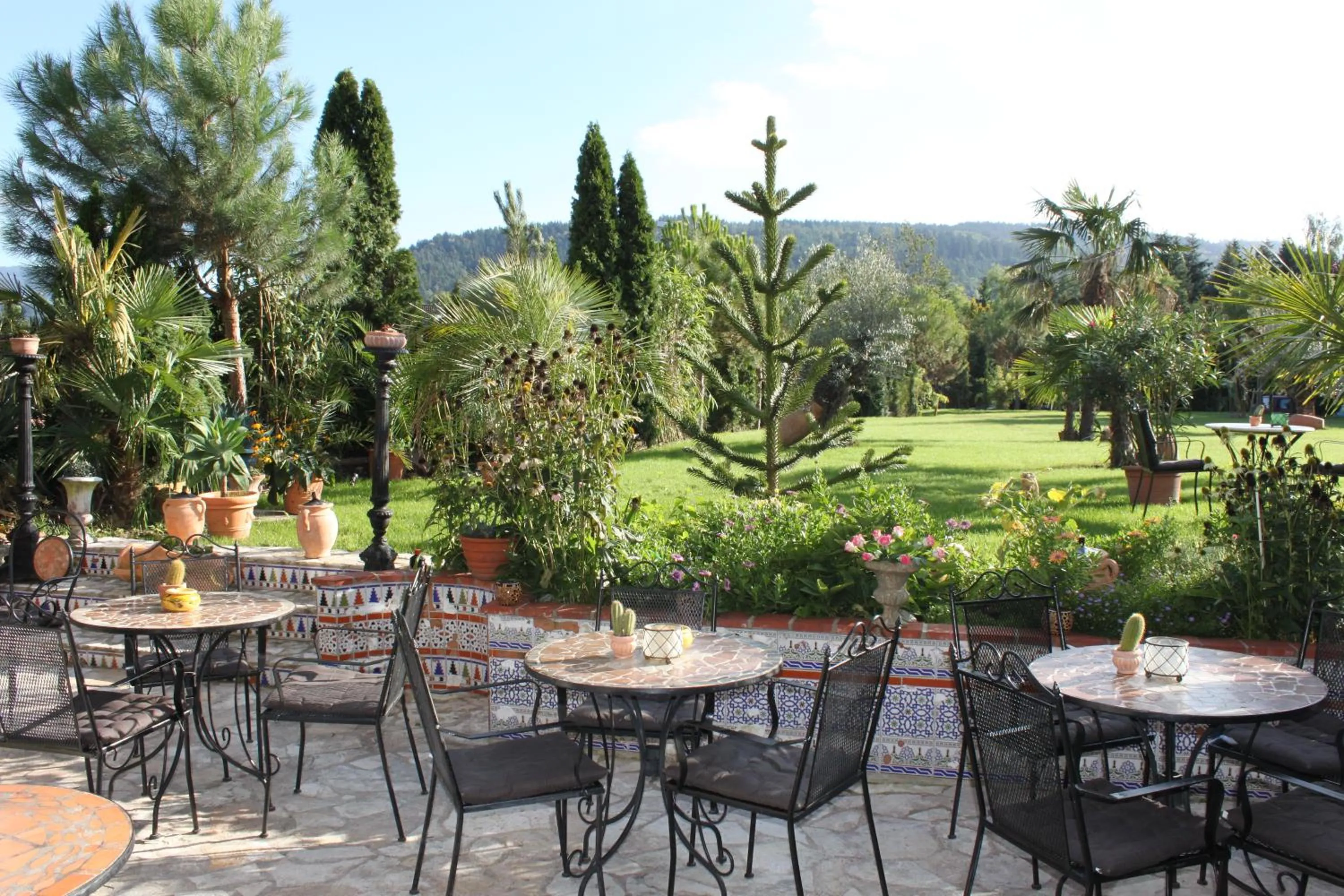 Balcony/Terrace in Hazienda Apartmenthotel - Für ein paar Tage oder monatelang