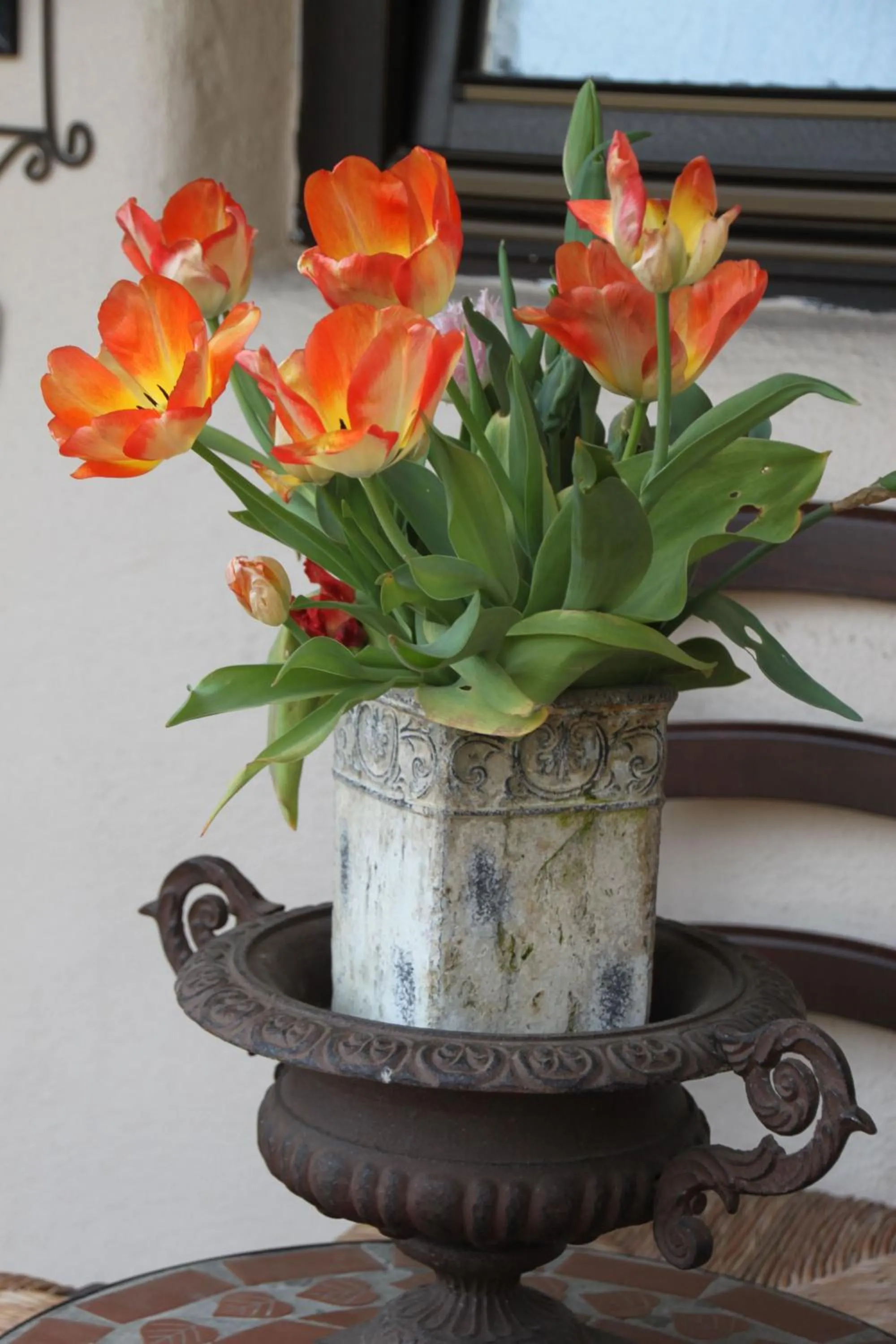 Other in Hazienda Apartmenthotel - Für ein paar Tage oder monatelang