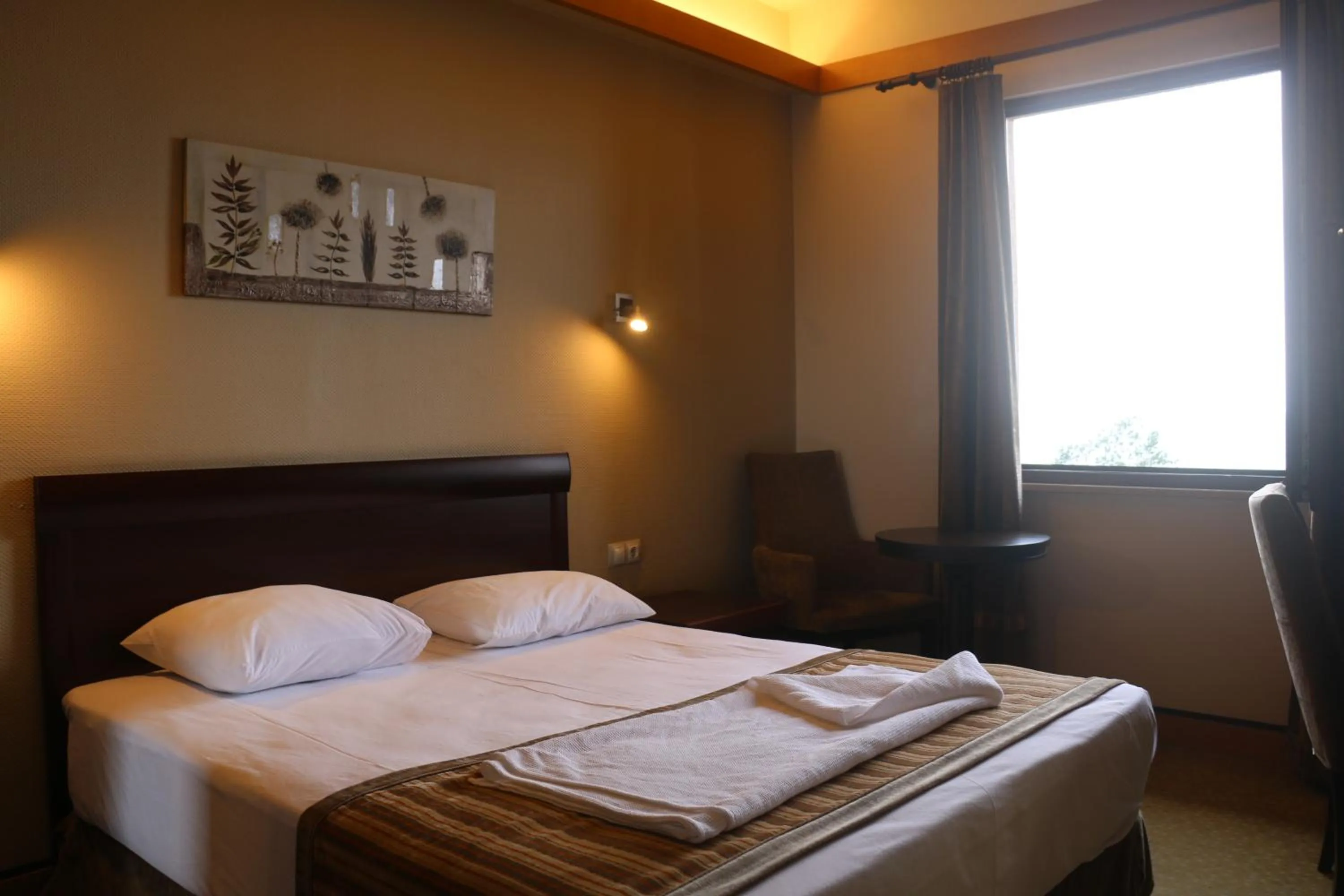 Bed in Hotel Lazlakar