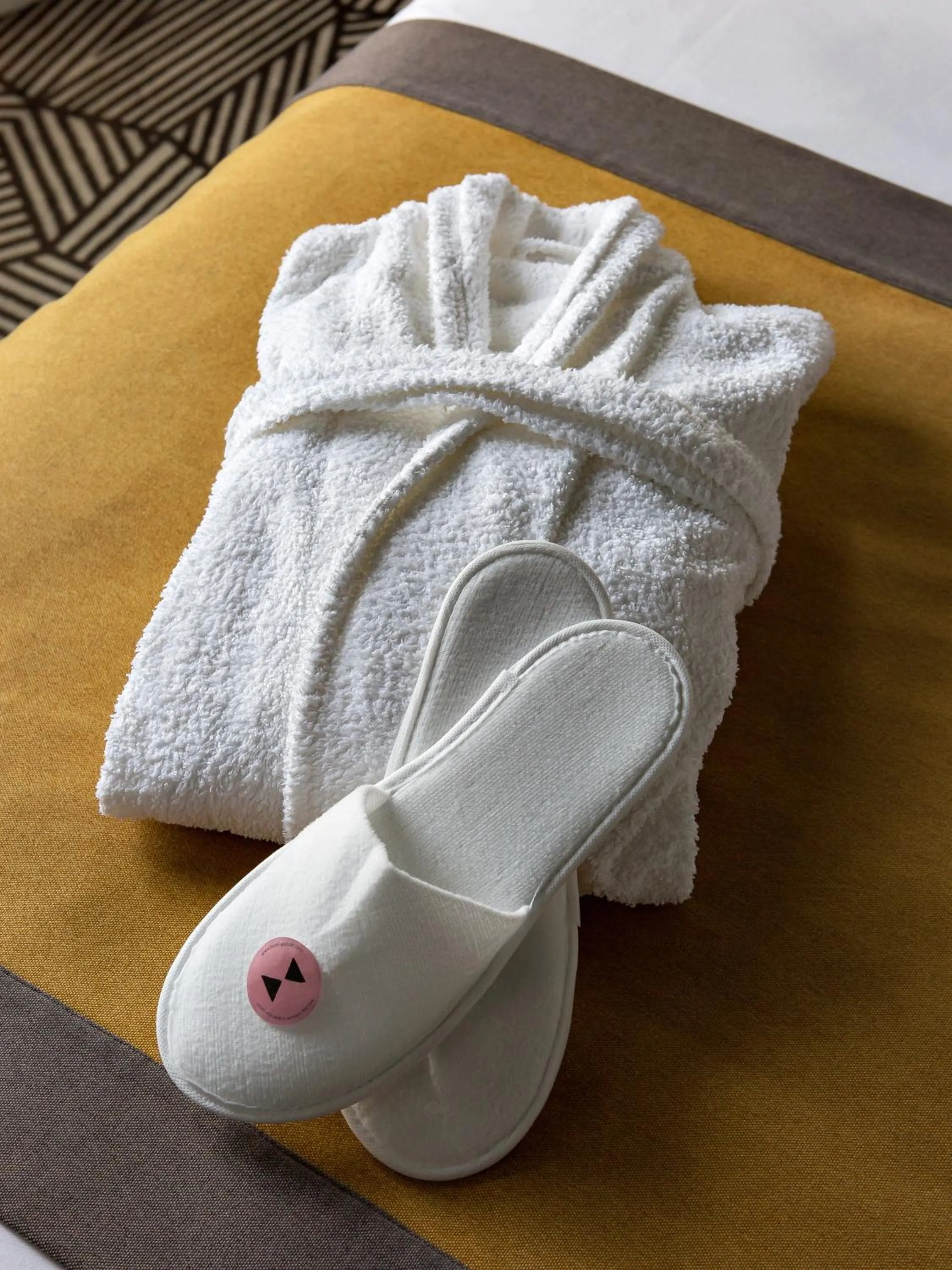 Privilege Room in Hôtel Gaston