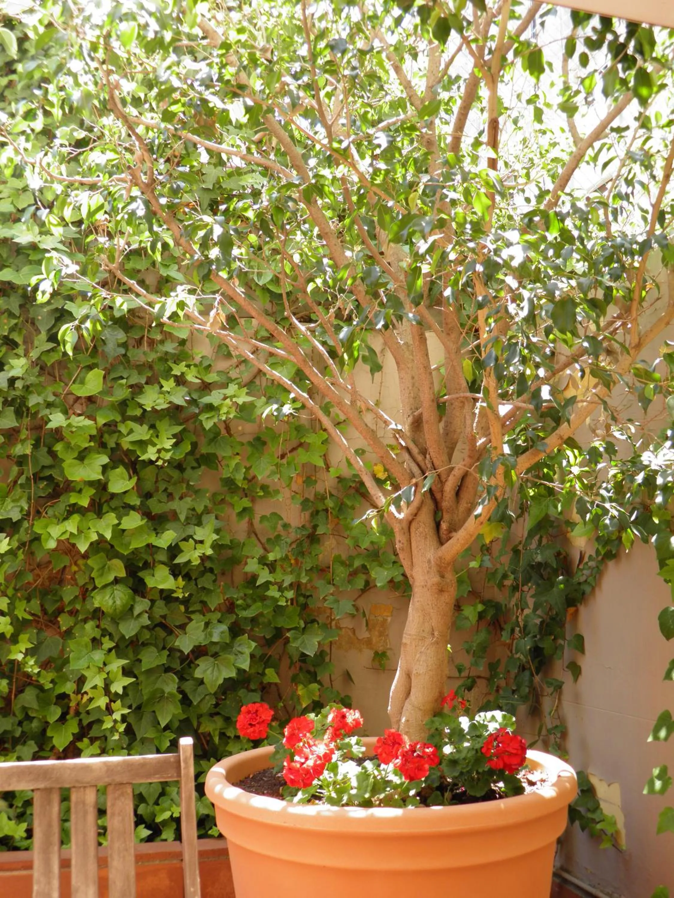 Suitur Courtyard Apartment