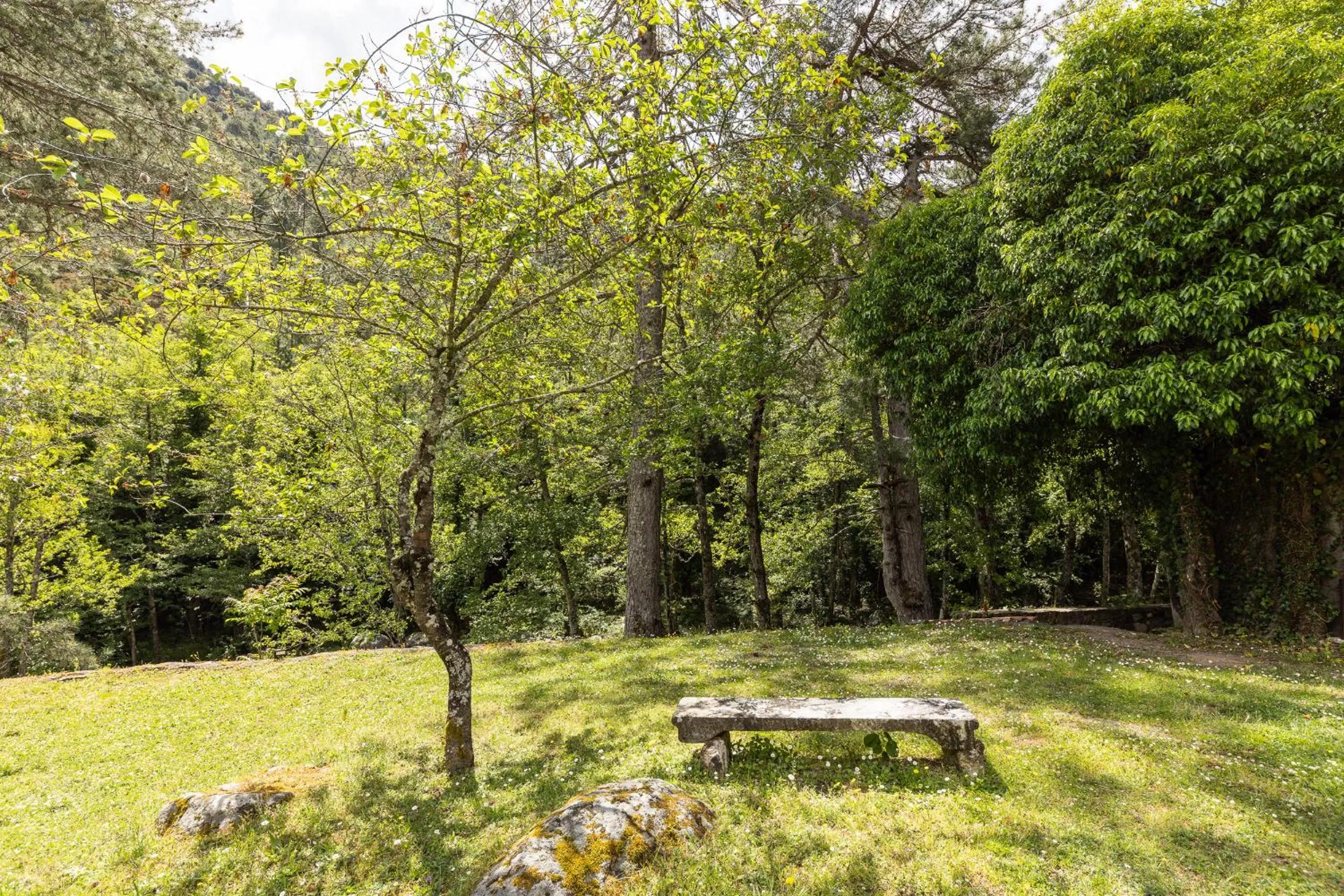 Garden in Hôtel de la Restonica