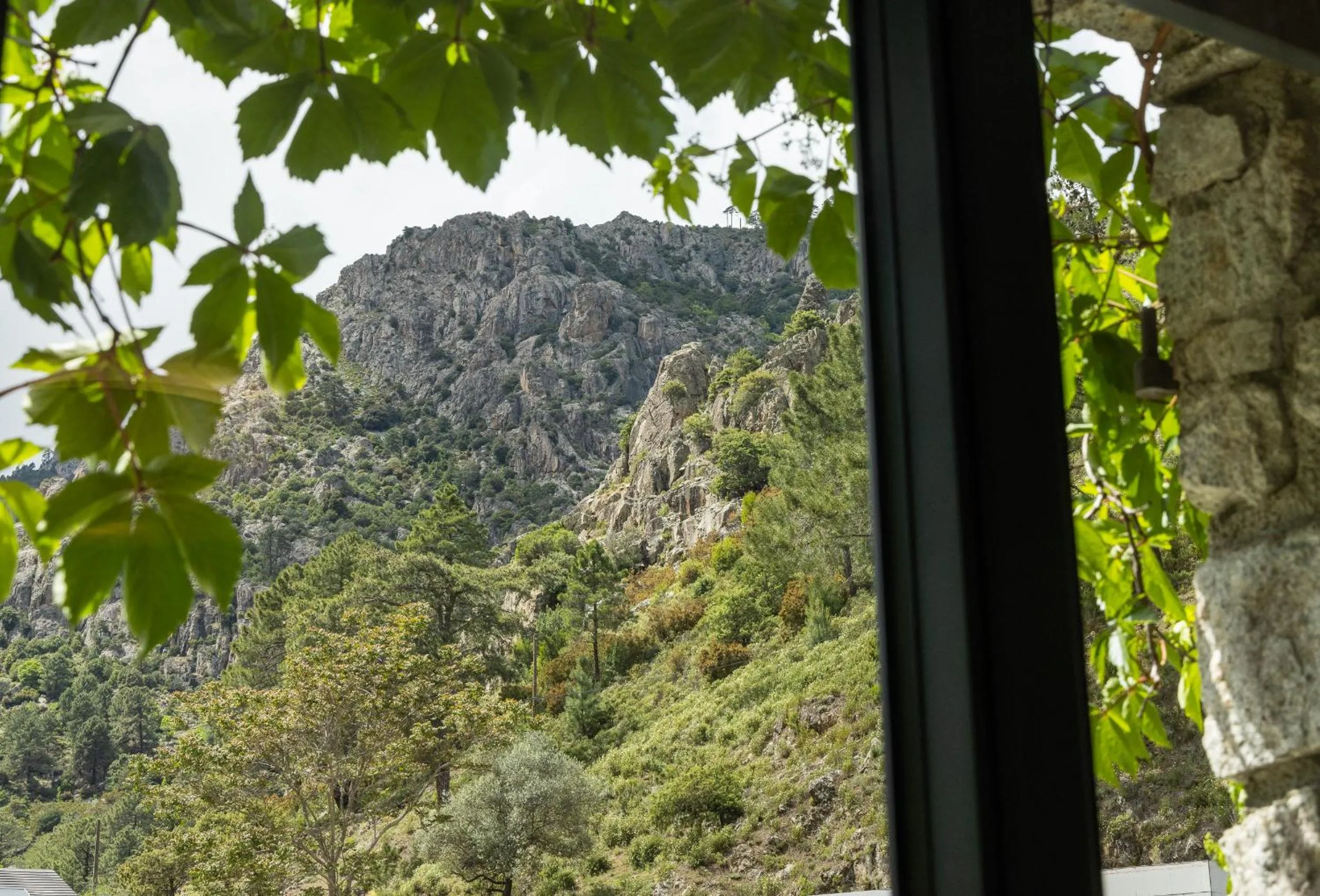 Mountain view in Hôtel de la Restonica