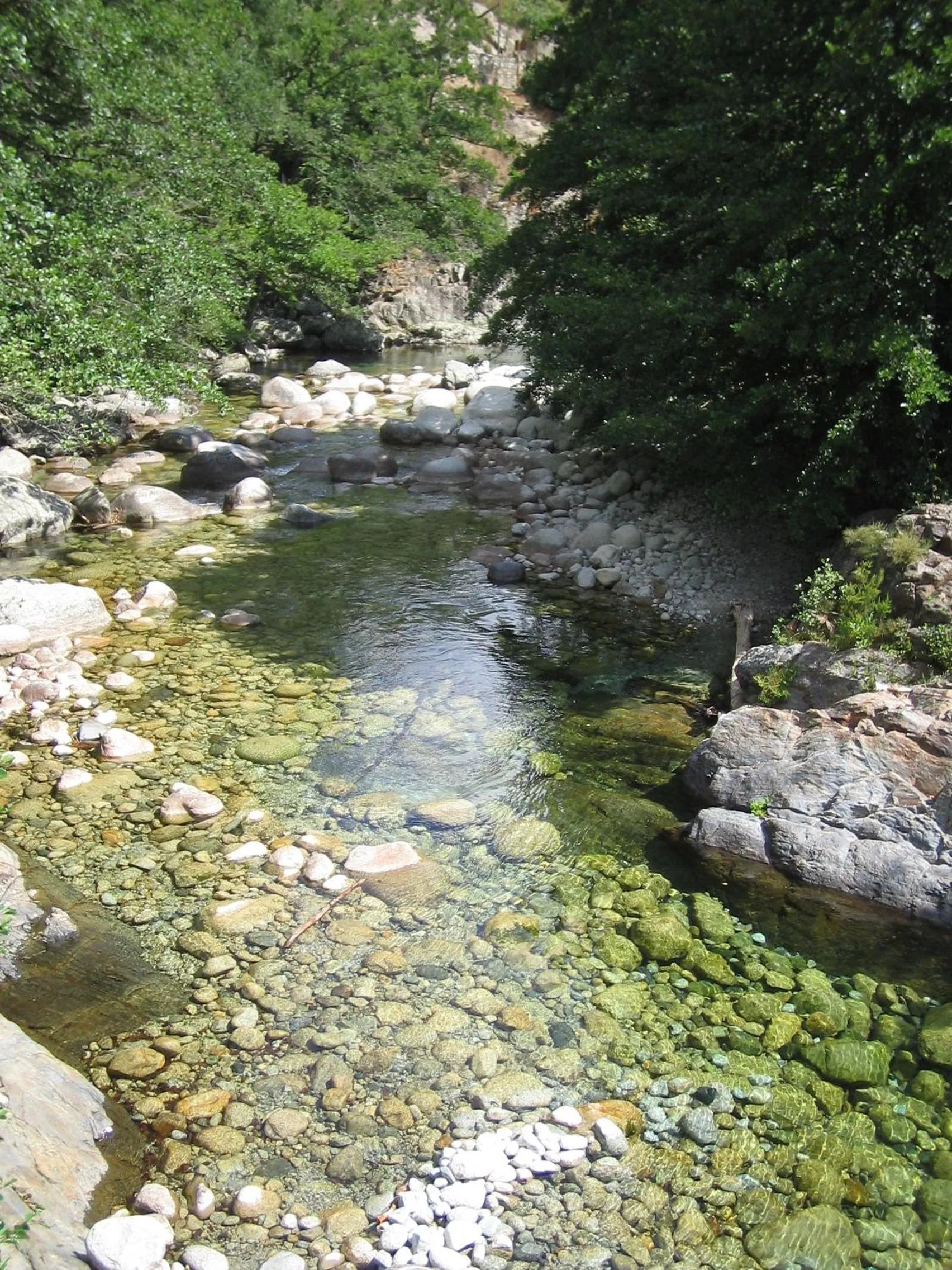 Natural landscape in Hôtel de la Restonica