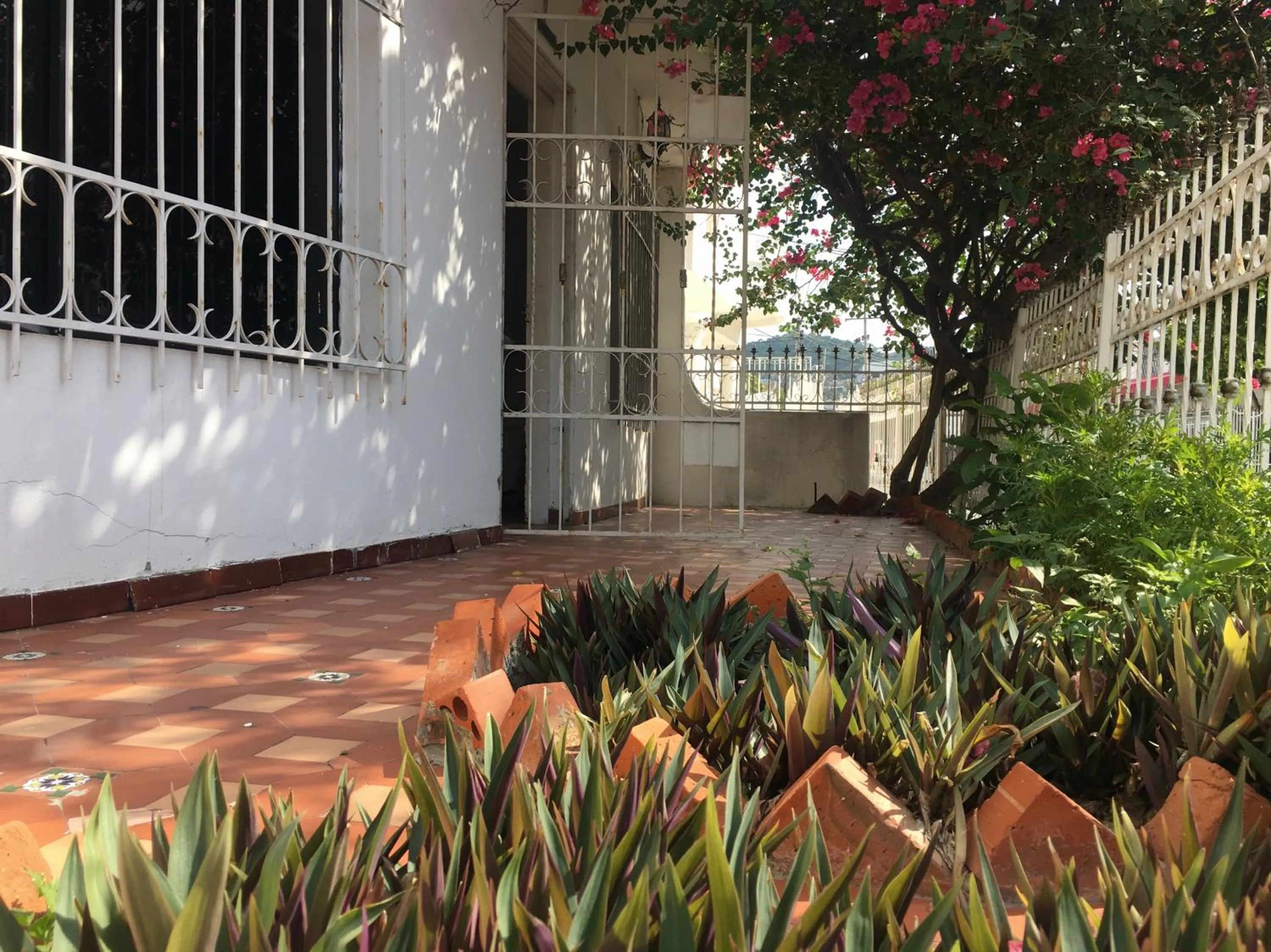 Garden view in Alojamiento Arte y Salud