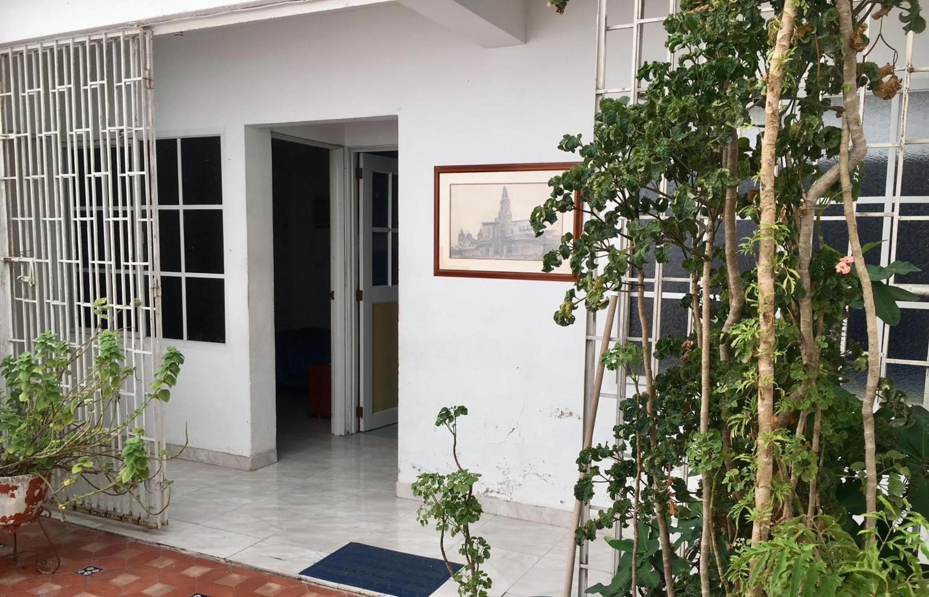 Garden in Alojamiento Arte y Salud